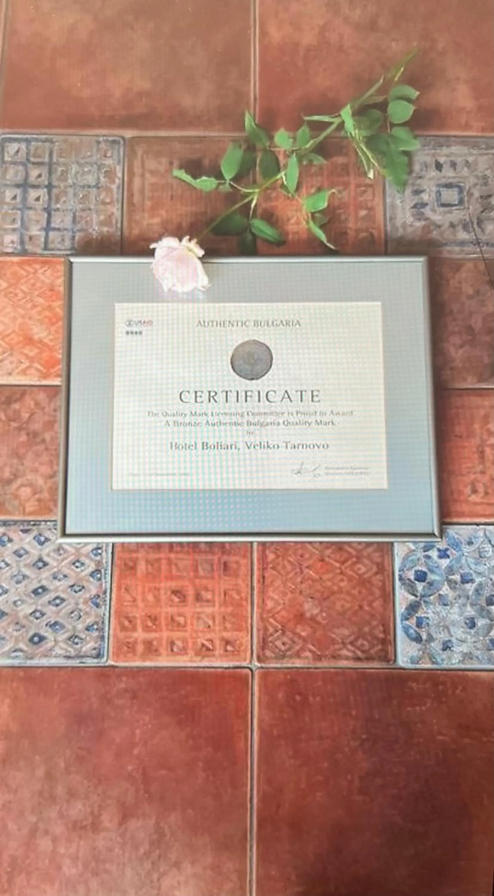 Certificate/Award in HOTEL BOLYARI