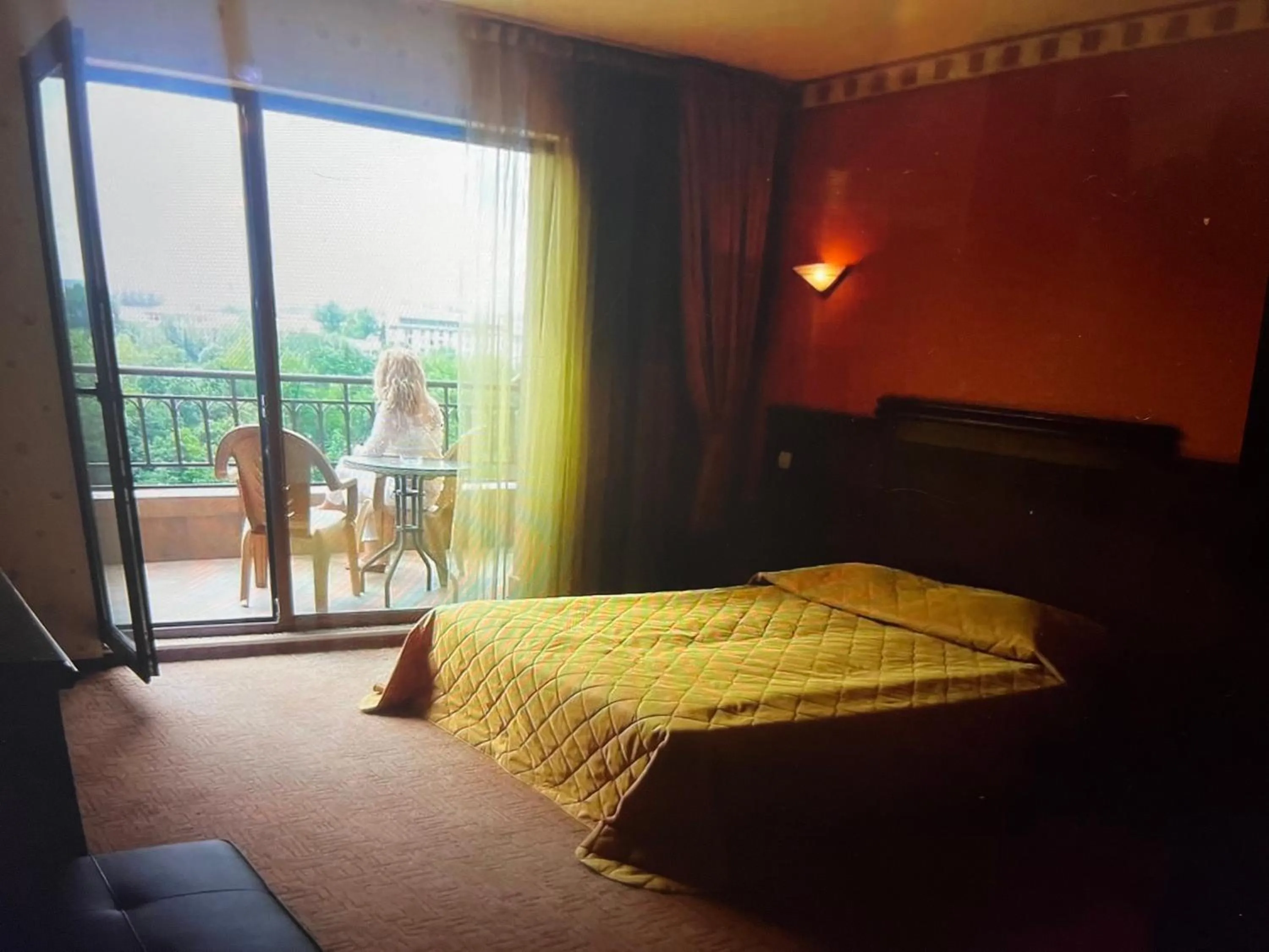 View (from property/room), Bed in HOTEL BOLYARI