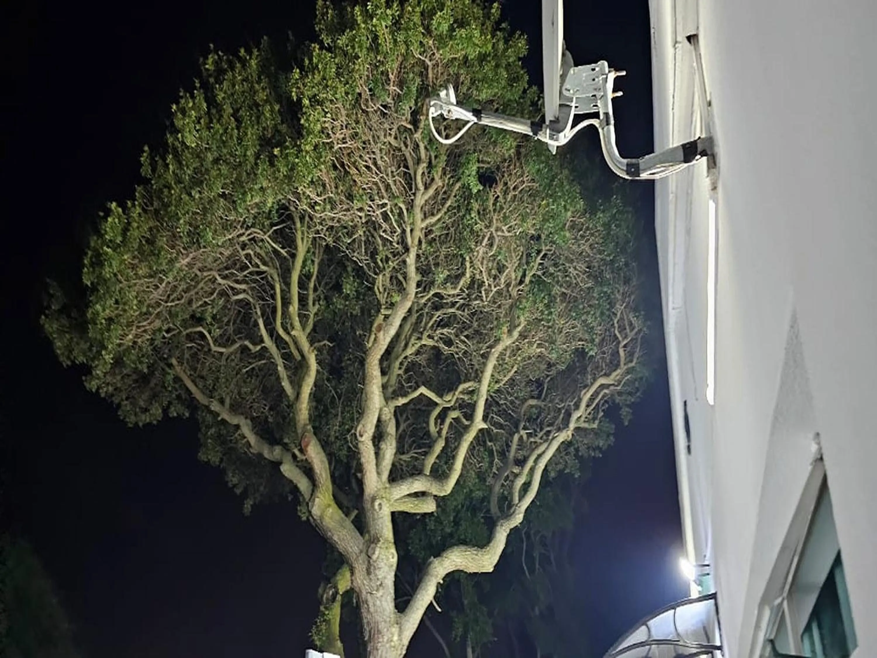 Goshen Lodge Fitzroy