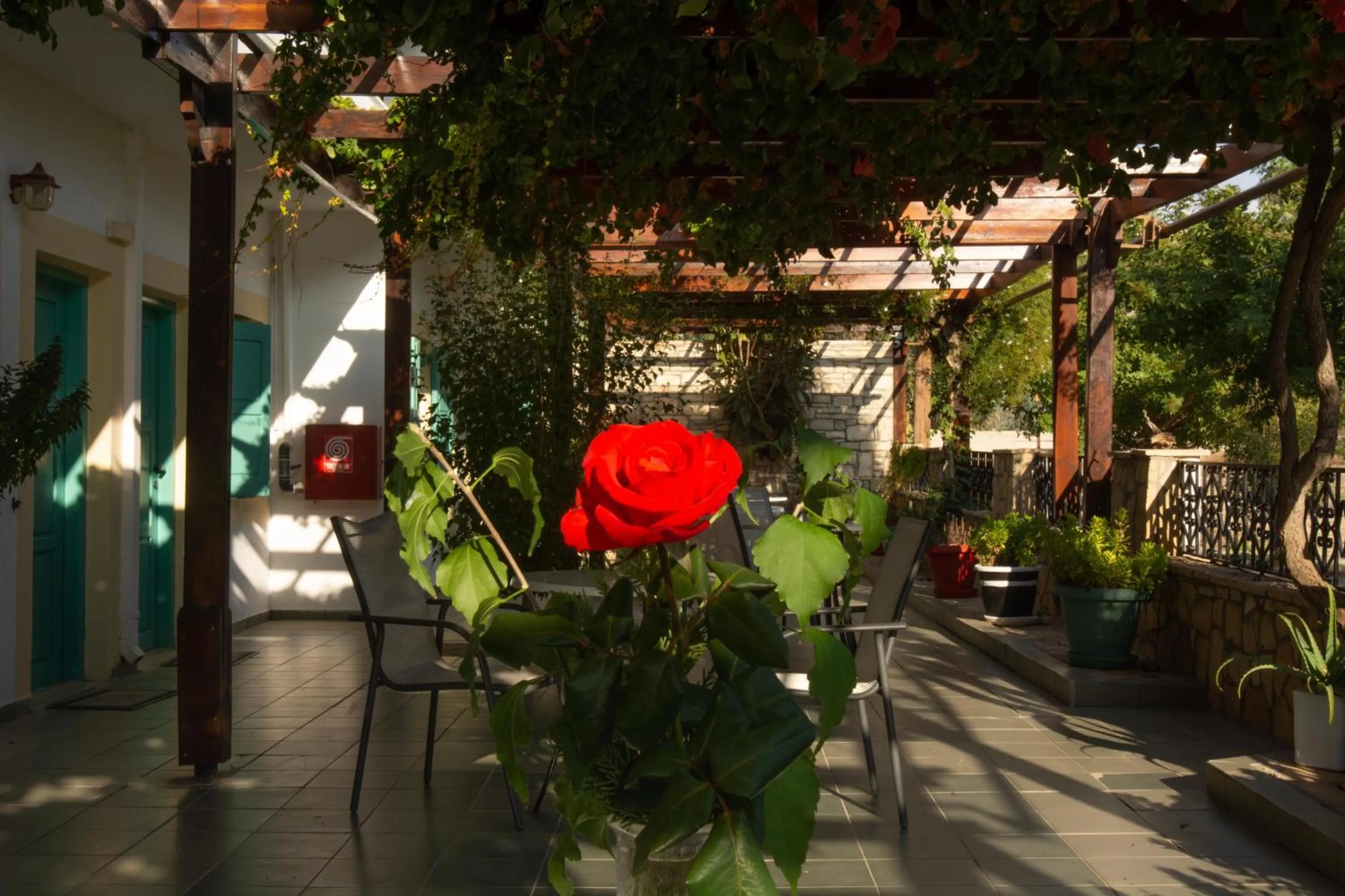 Property building in Dimitris Villa Hotel