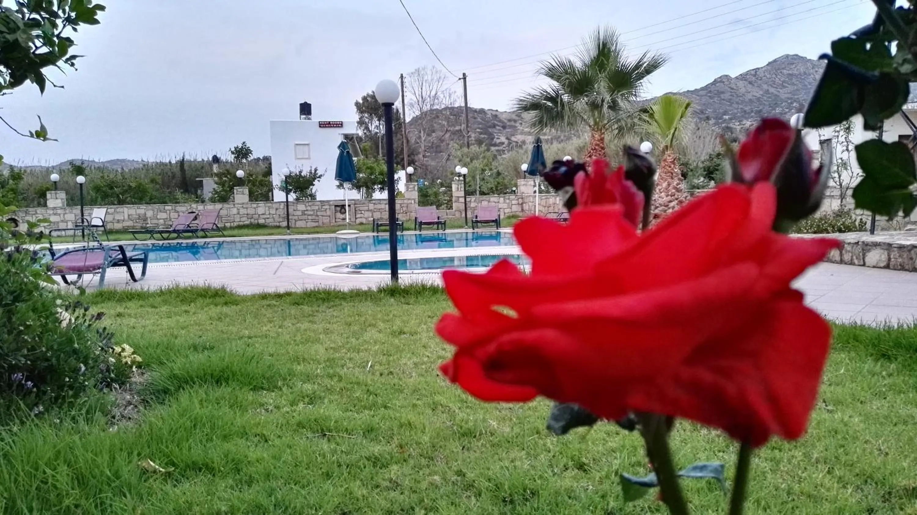 Restaurant/places to eat in Dimitris Villa Hotel