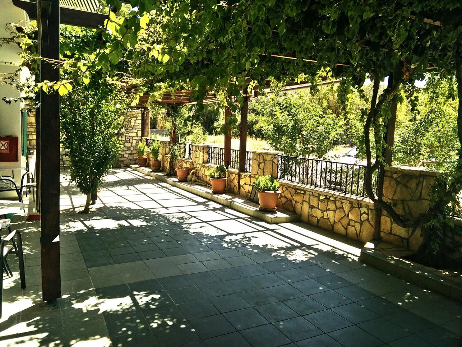 Balcony/Terrace in Dimitris Villa Hotel
