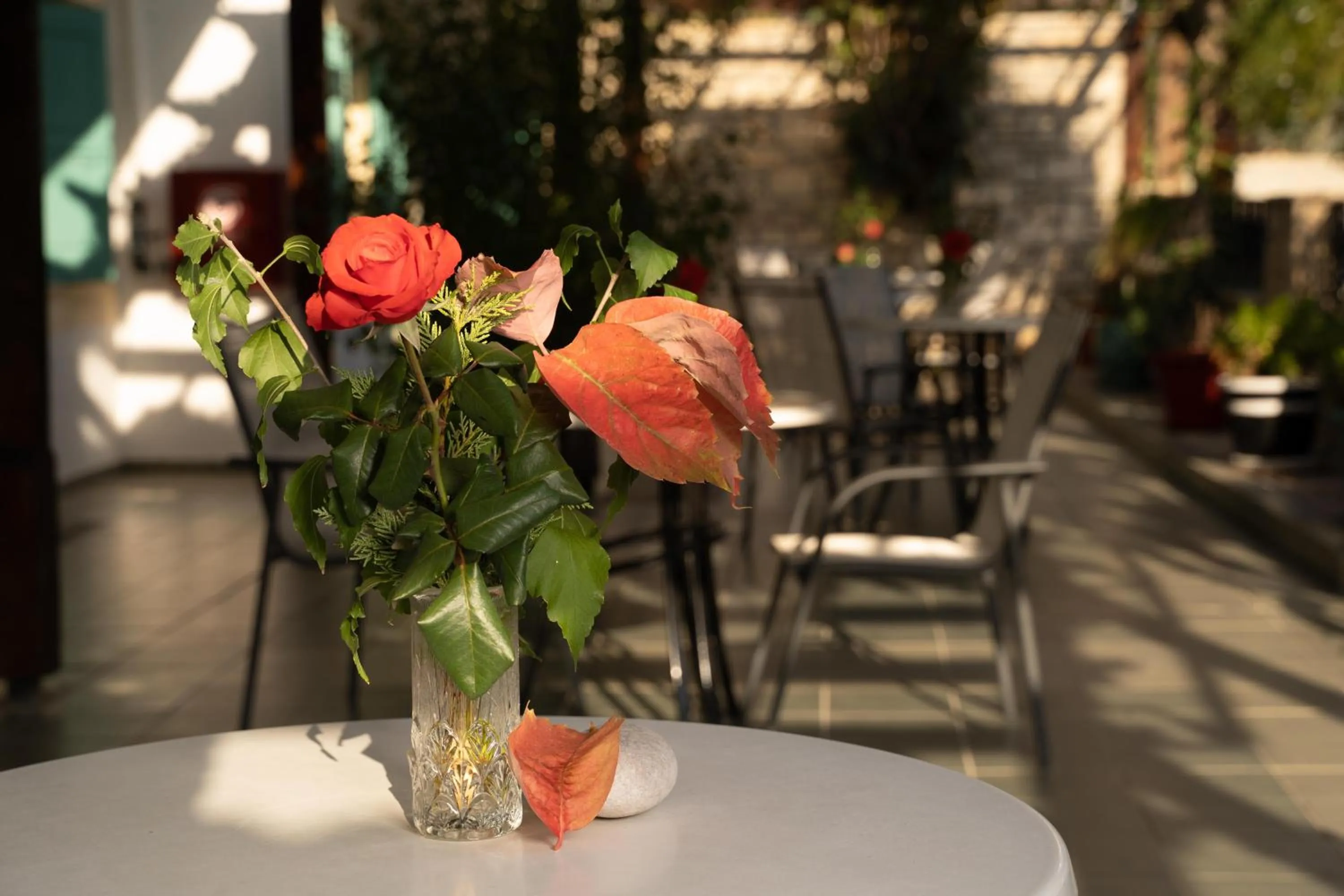 Patio in Dimitris Villa Hotel