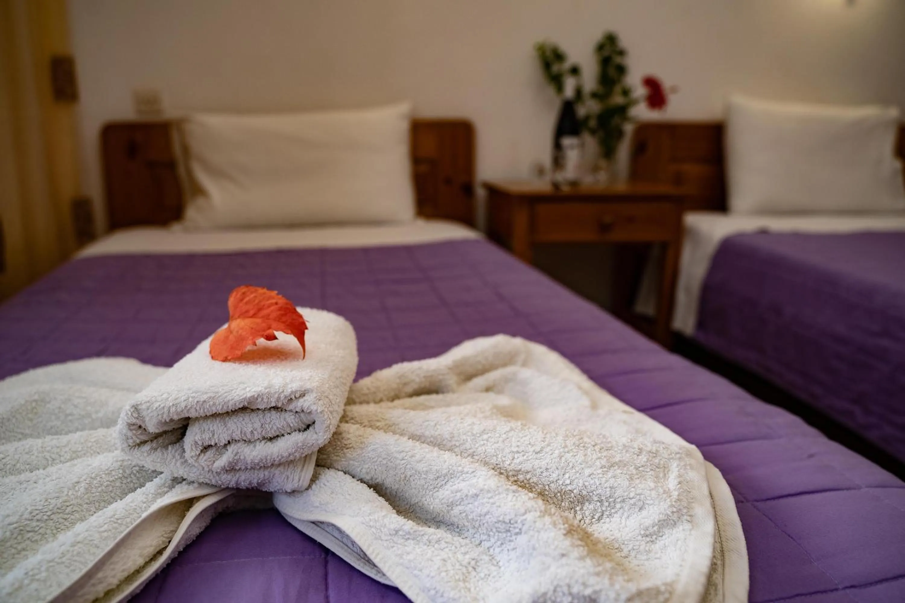 Bed in Dimitris Villa Hotel