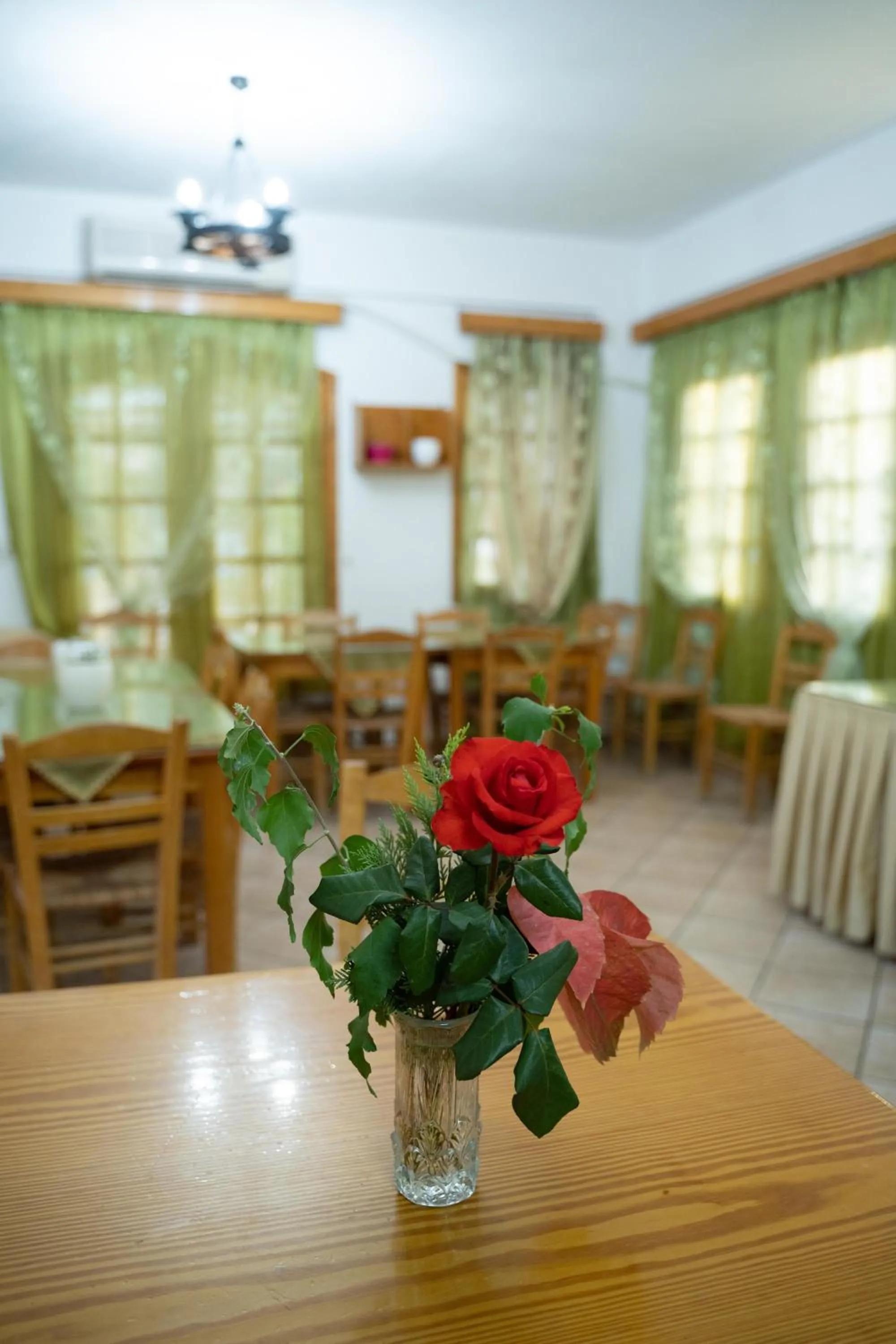 Lounge or bar in Dimitris Villa Hotel