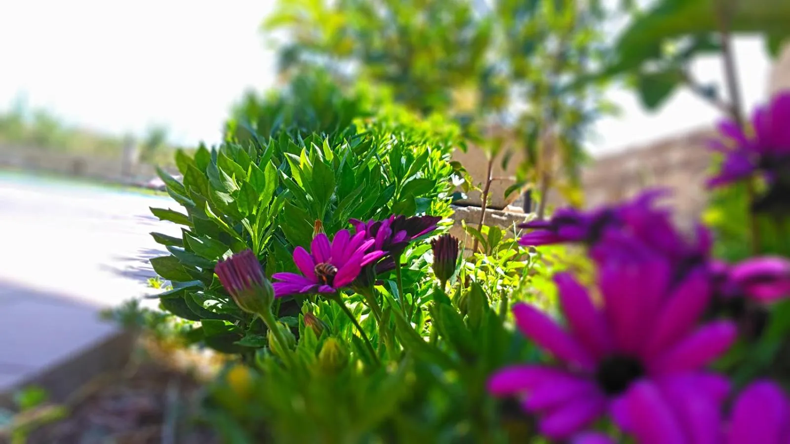 Communal lounge/ TV room in Dimitris Villa Hotel