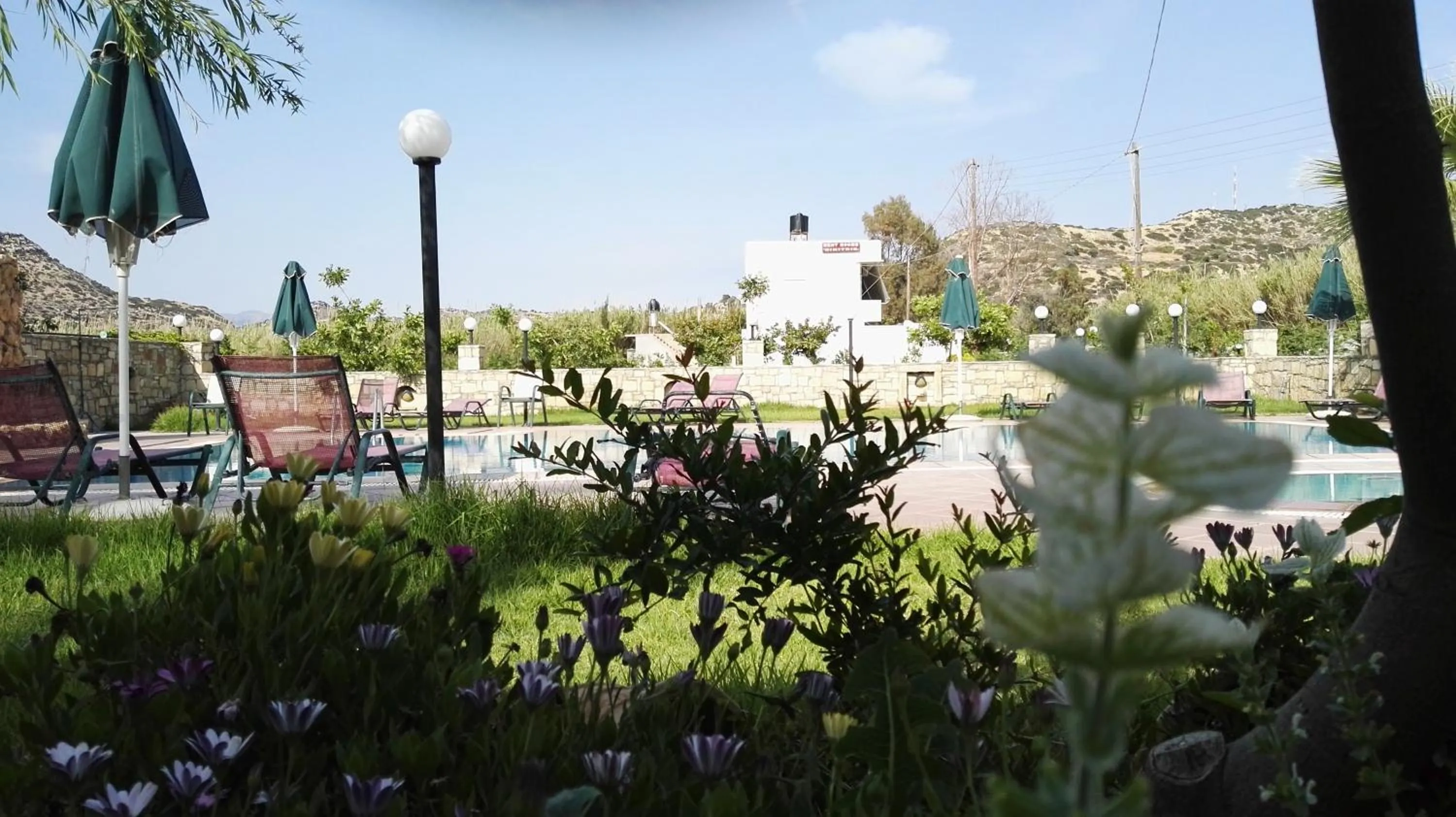 Restaurant/places to eat in Dimitris Villa Hotel