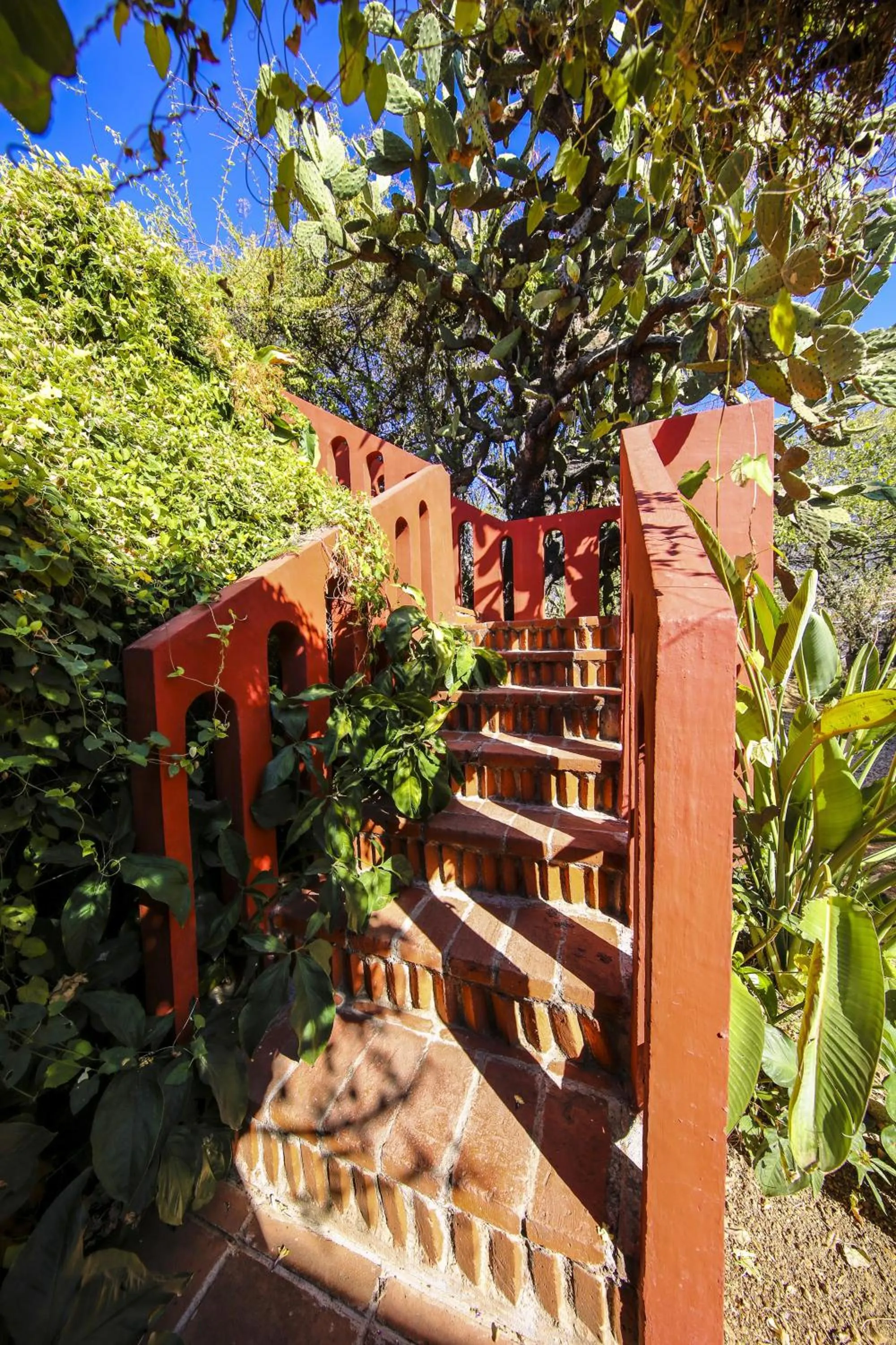Restaurant/places to eat in Huayápam Yù'ú Lodge