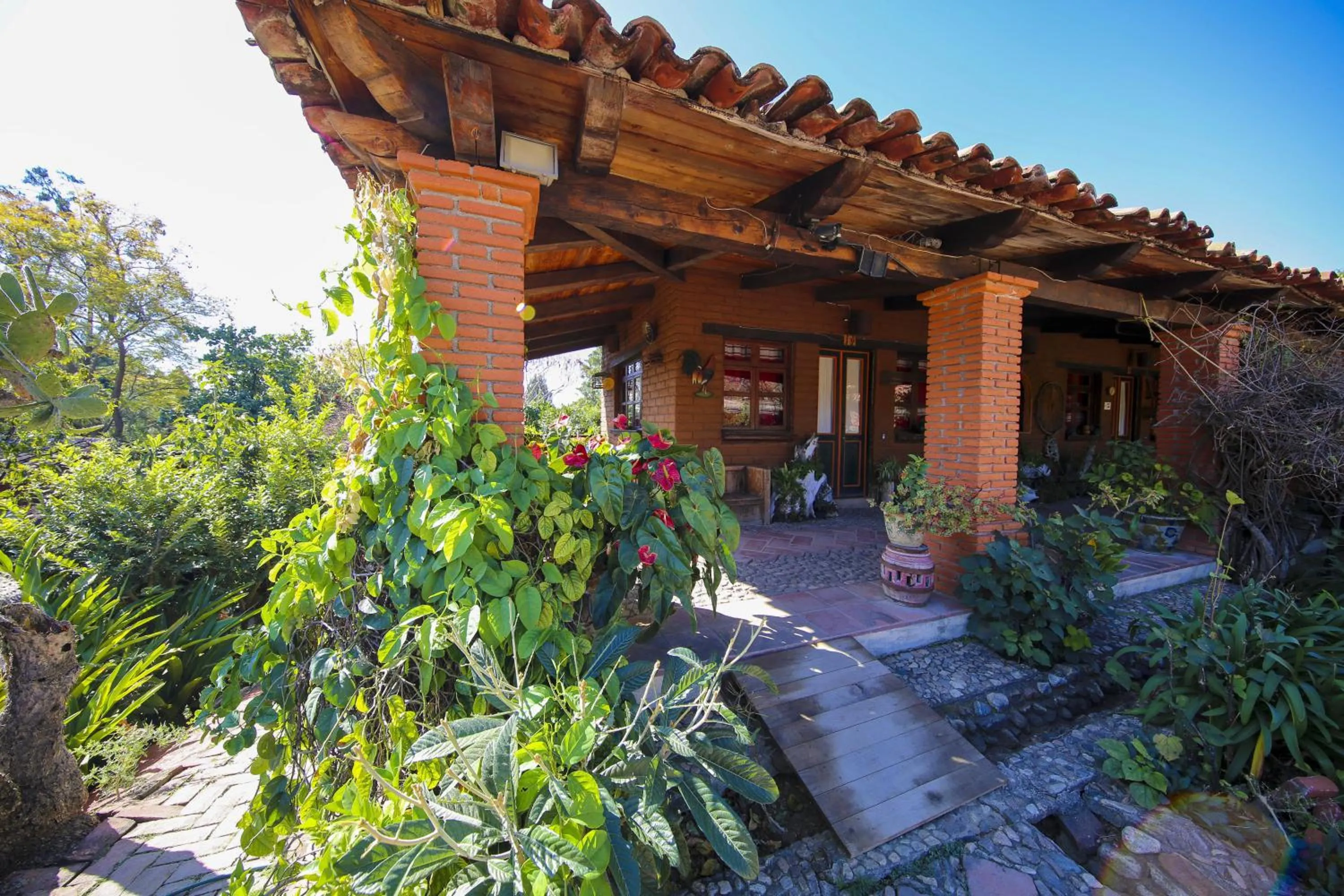 Garden in Huayápam Yù'ú Lodge