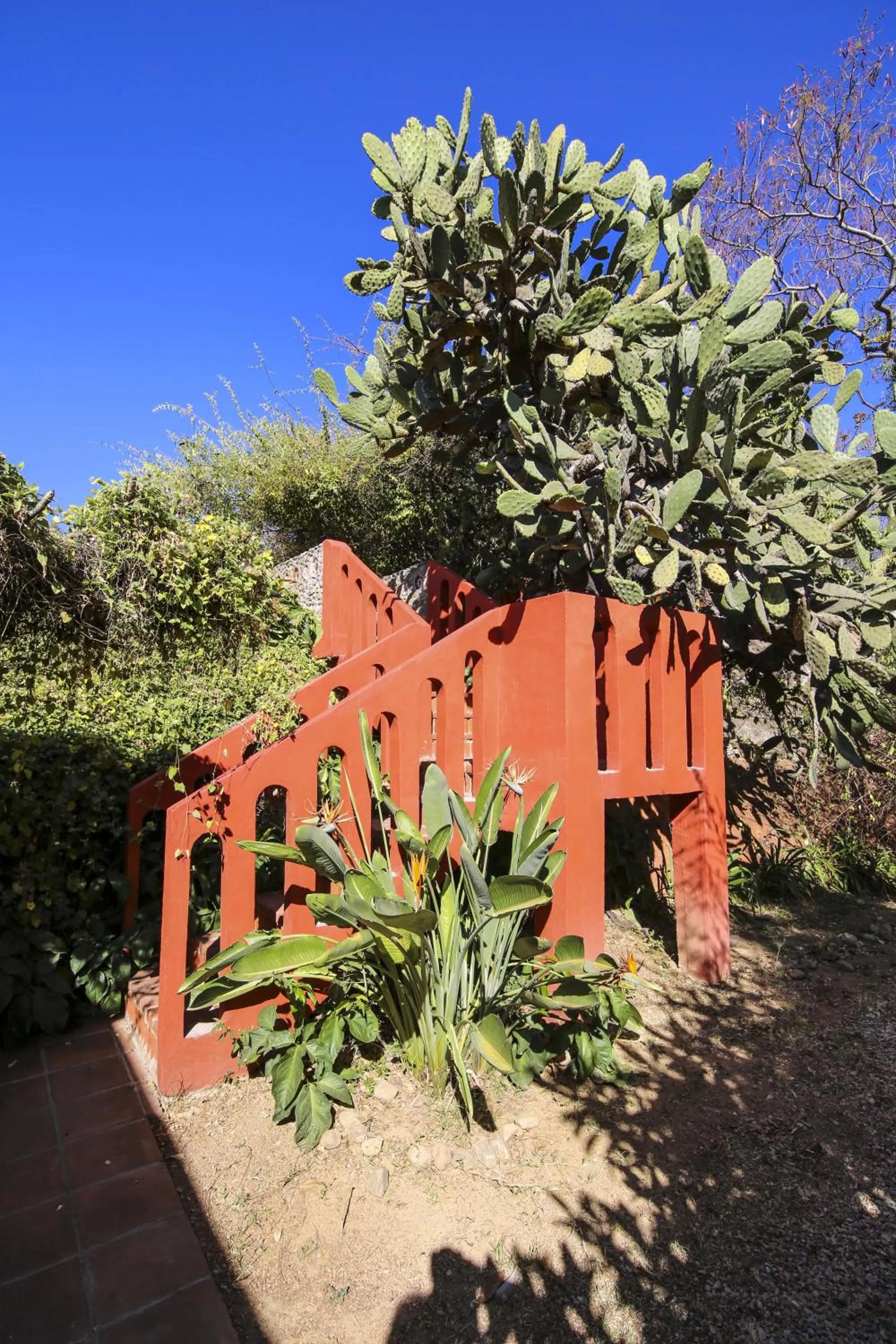 Restaurant/places to eat in Huayápam Yù'ú Lodge