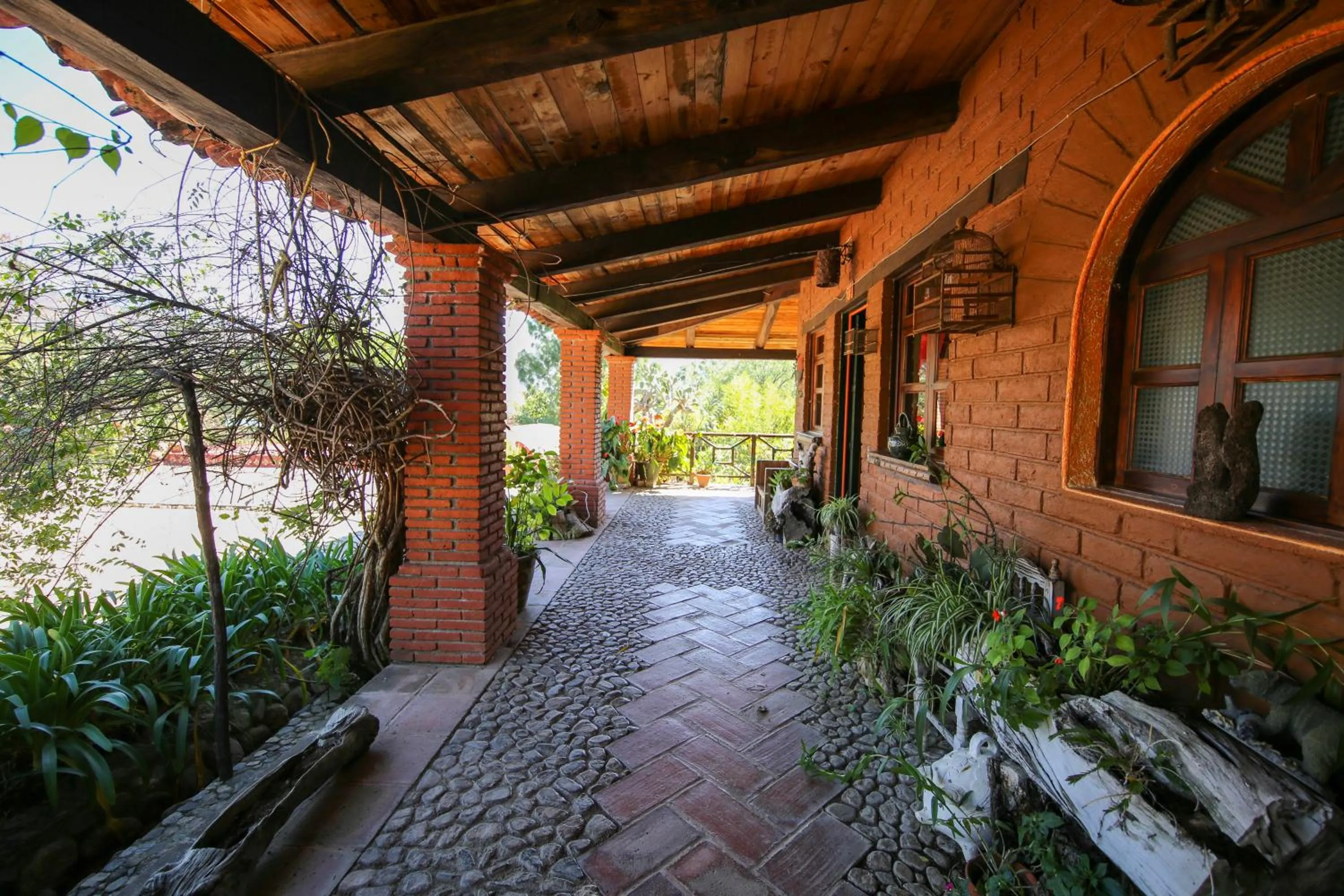 Garden in Huayápam Yù'ú Lodge