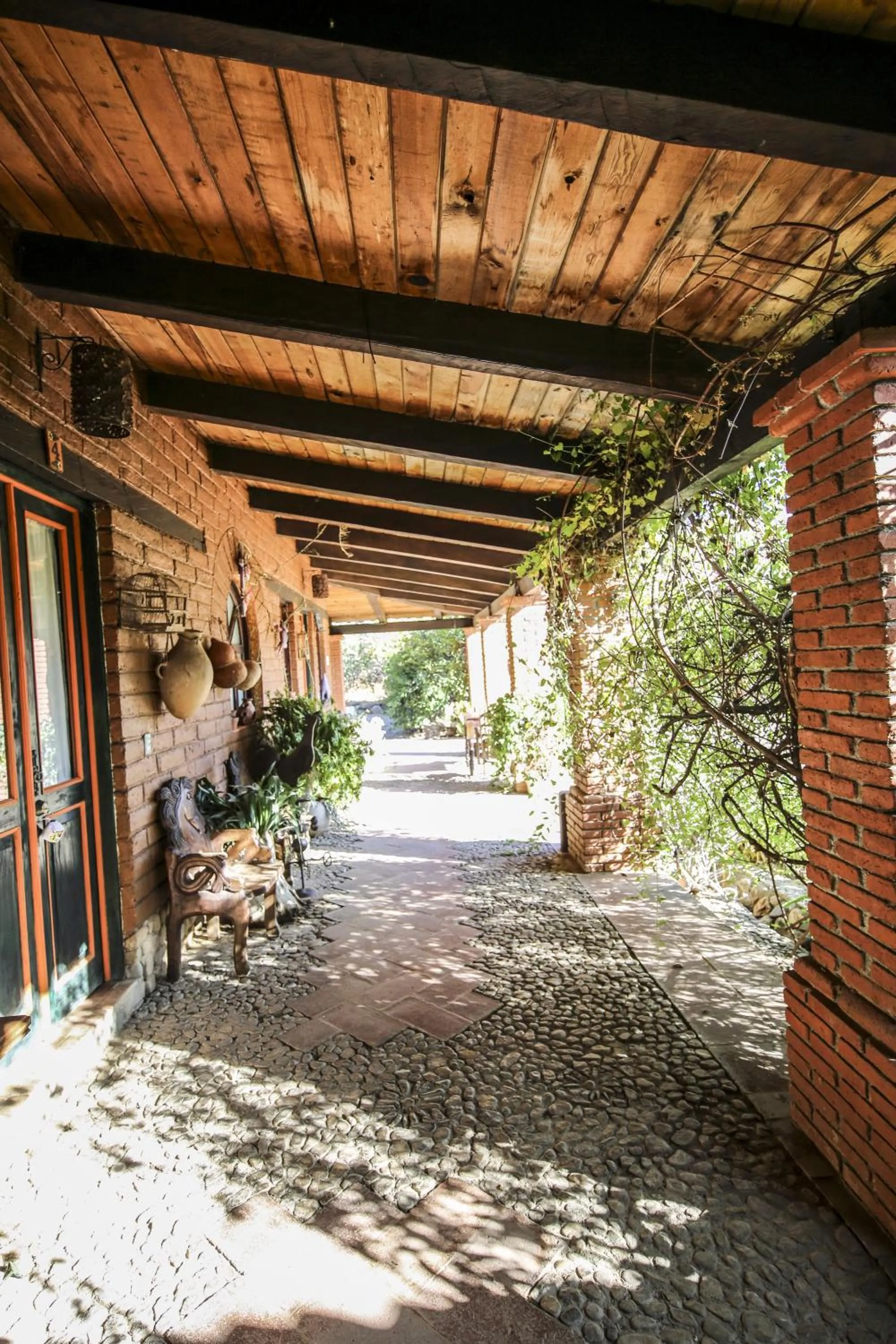 Garden view in Huayápam Yù'ú Lodge