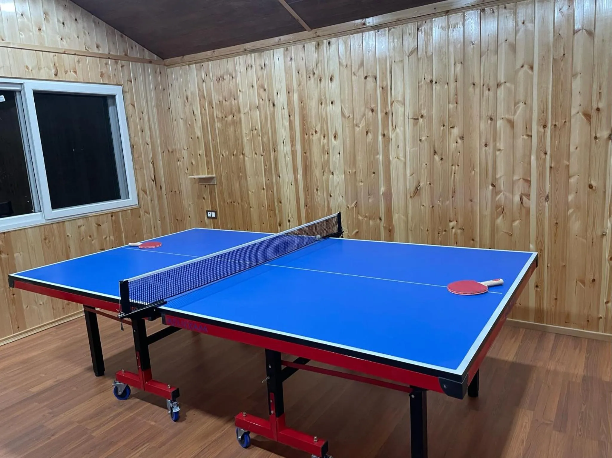 Game Room in Atulyam, Pangot
