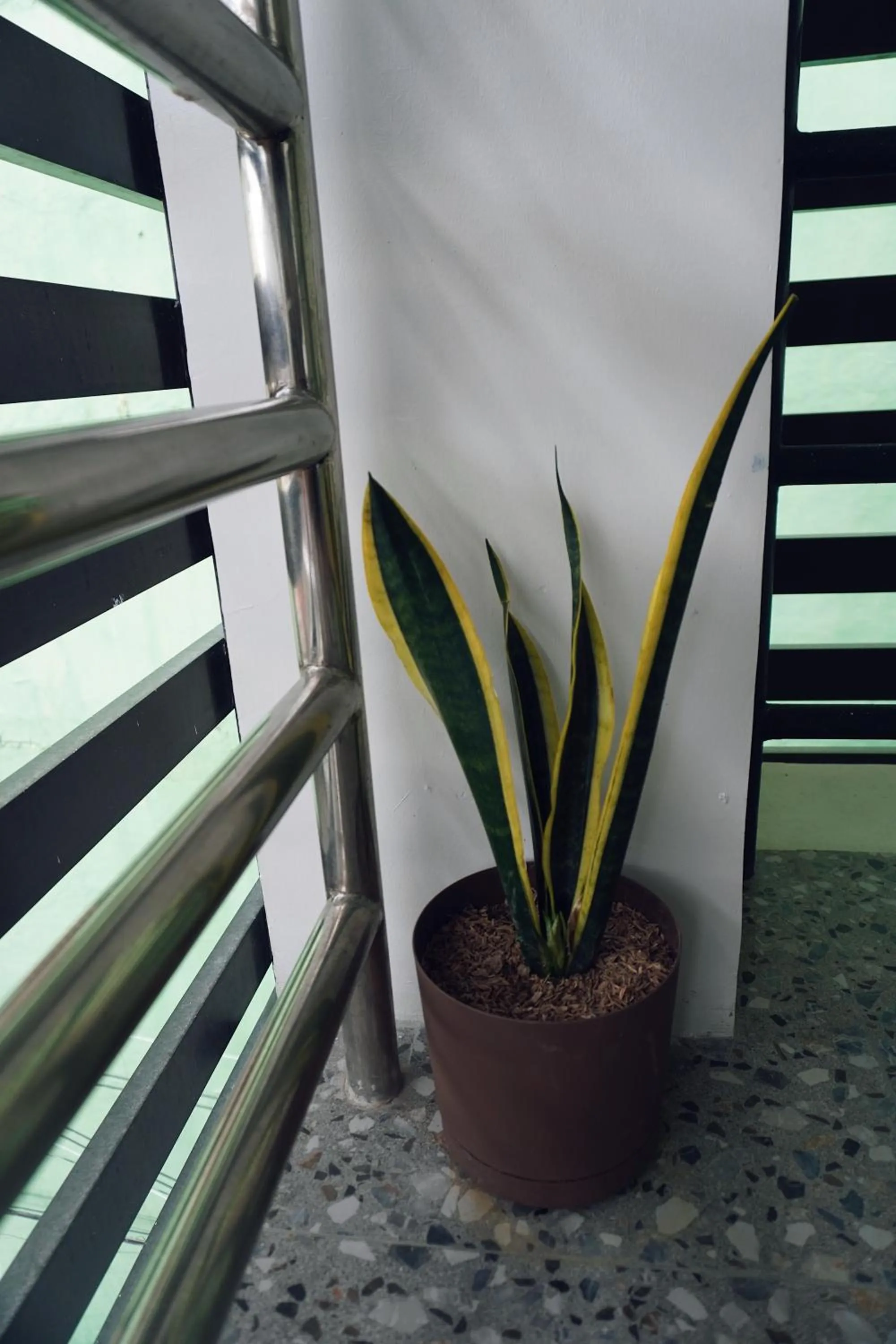 Cebu Backpackers Hostel