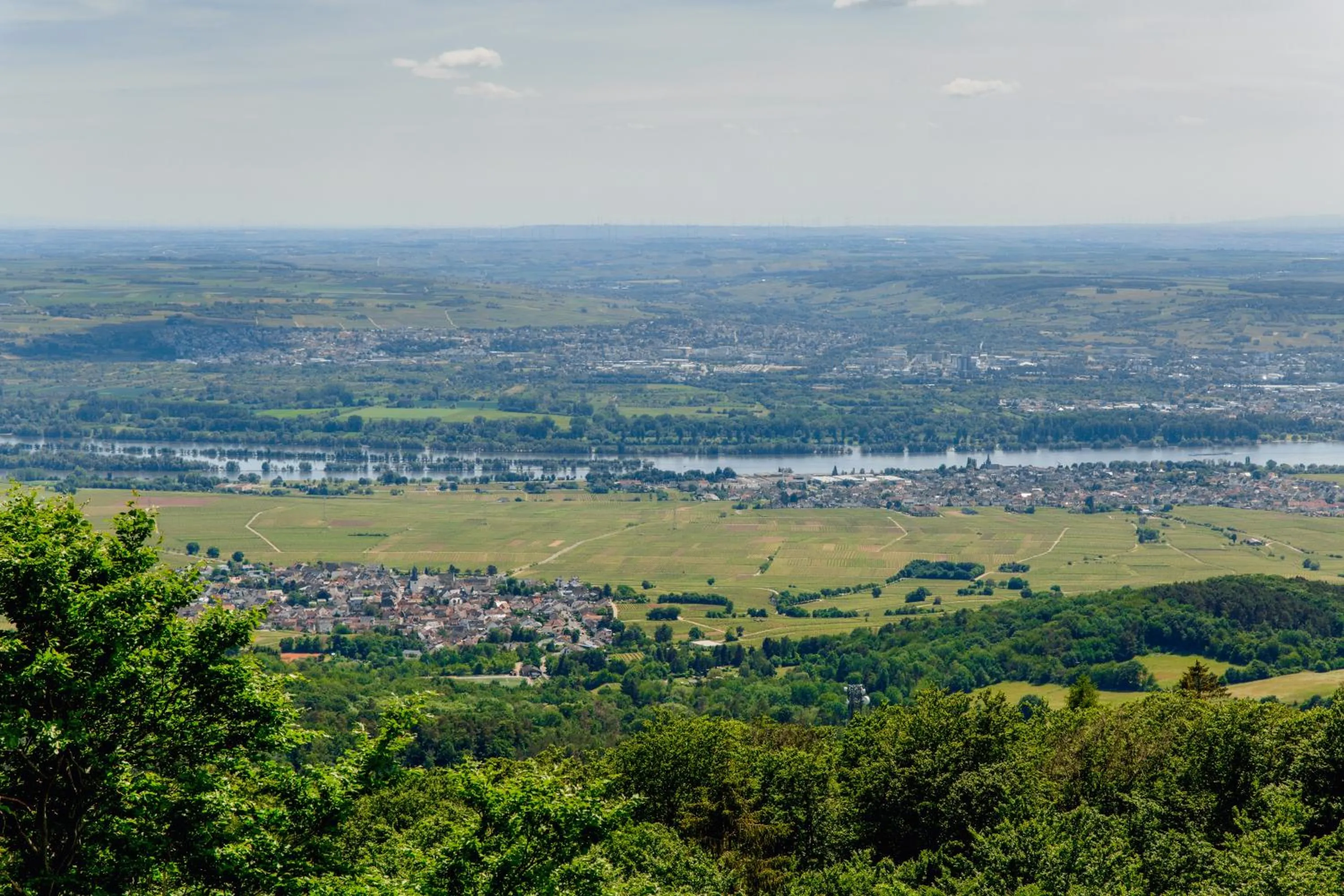 Hiking in Hallgarter Zange