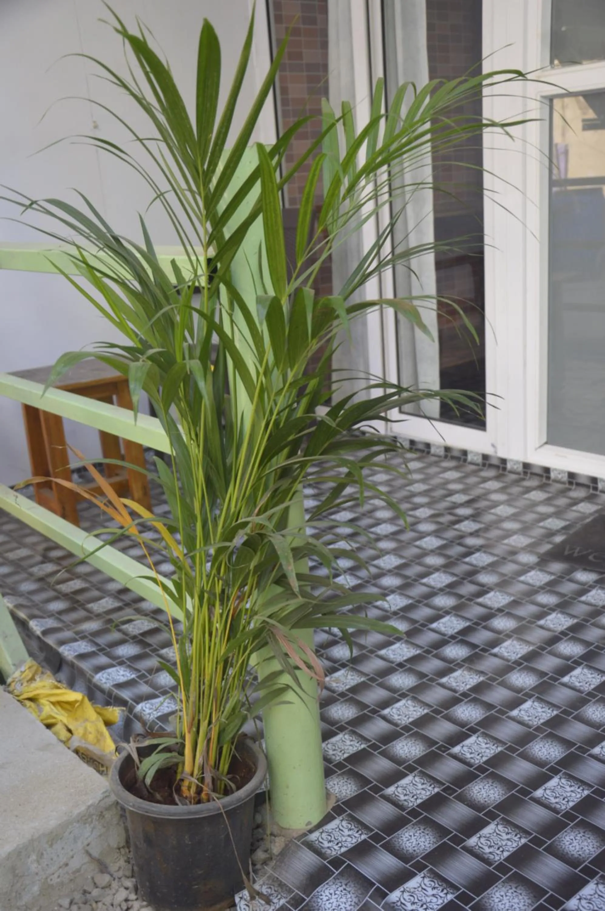 Garden in SUNBATH beach EXOTICA