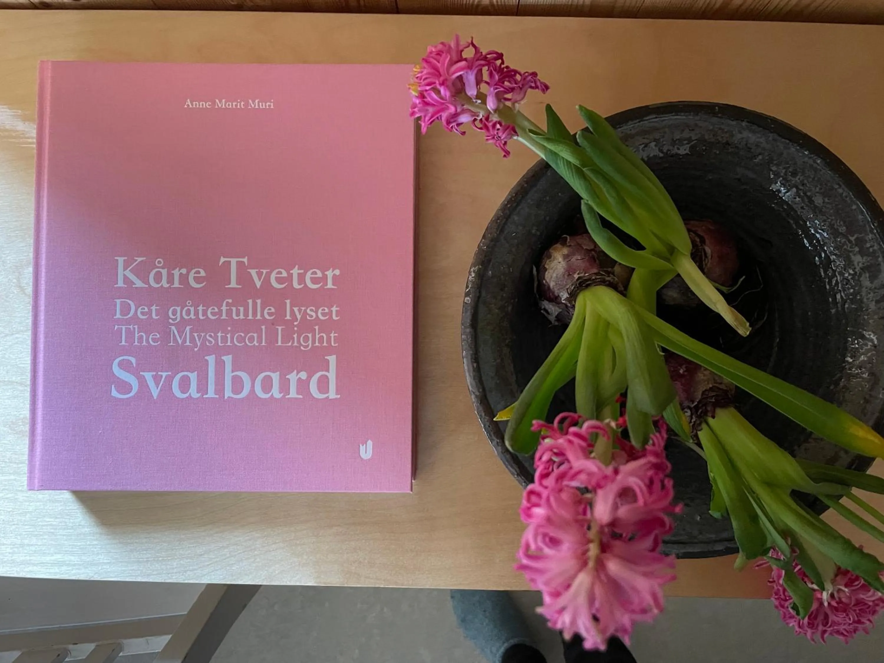 Villa Lofoten - Edvardbua