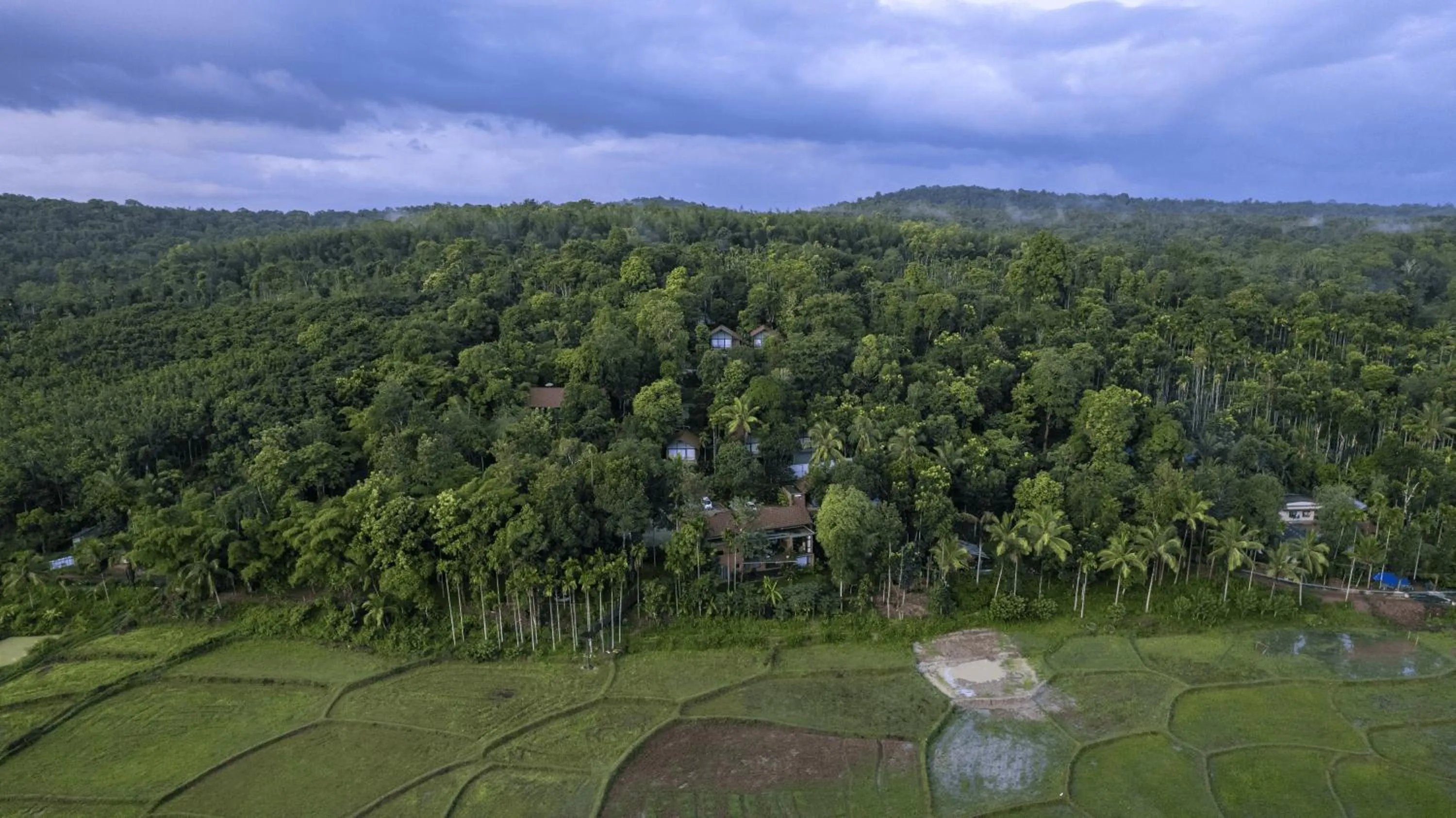 Property building in Crystal Kuruva Nature Resort & Spa