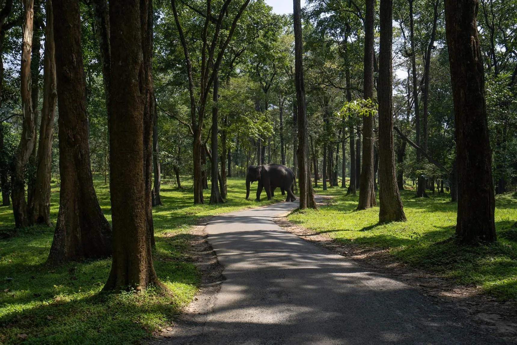 Day in Crystal Kuruva Nature Resort & Spa