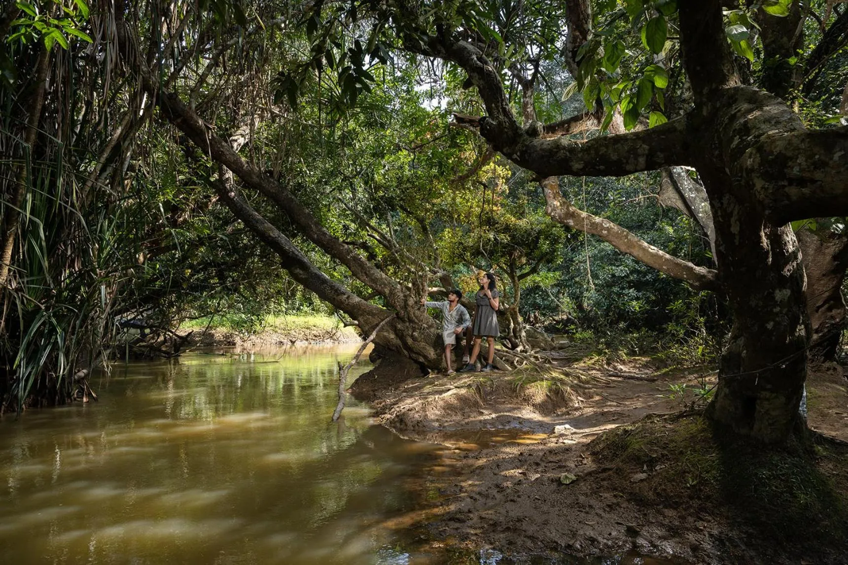 Natural landscape in Crystal Kuruva Nature Resort & Spa