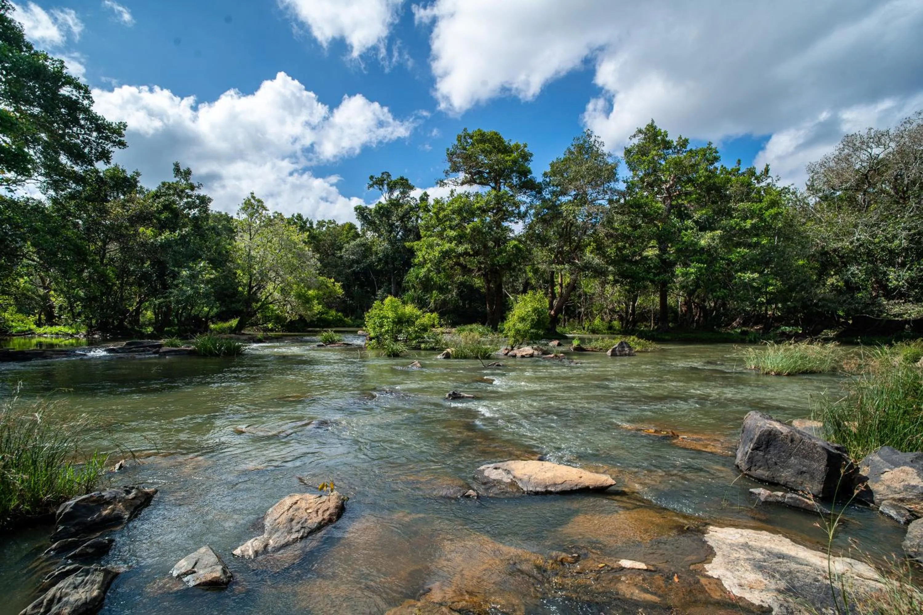 Nearby landmark in Crystal Kuruva Nature Resort & Spa