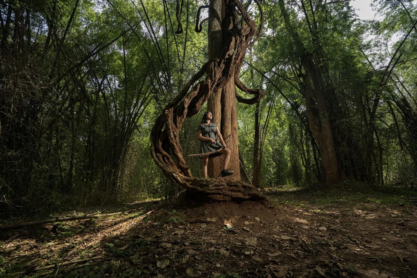 Natural landscape in Crystal Kuruva Nature Resort & Spa