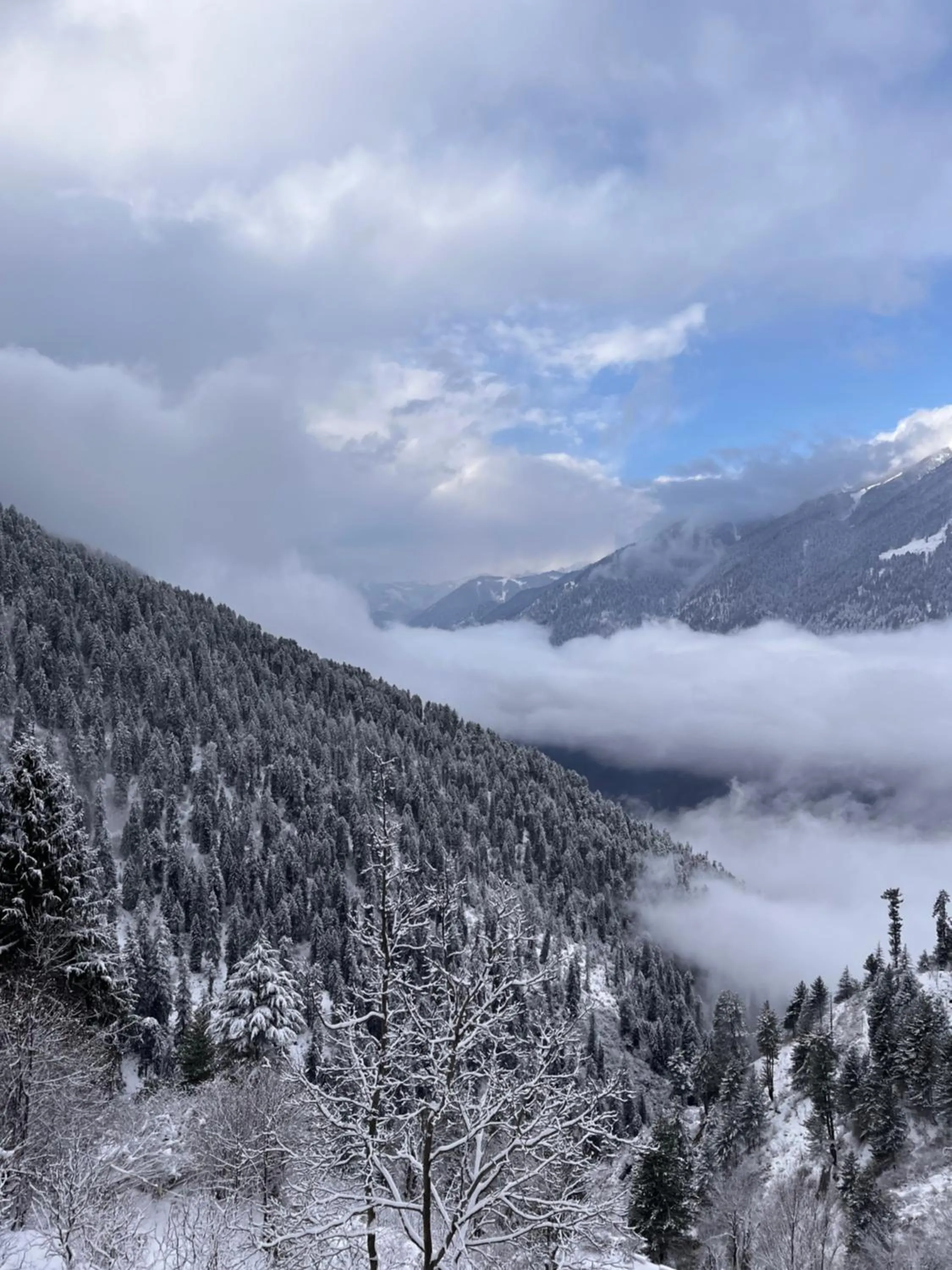 View (from property/room) in GLAMPING CLUB