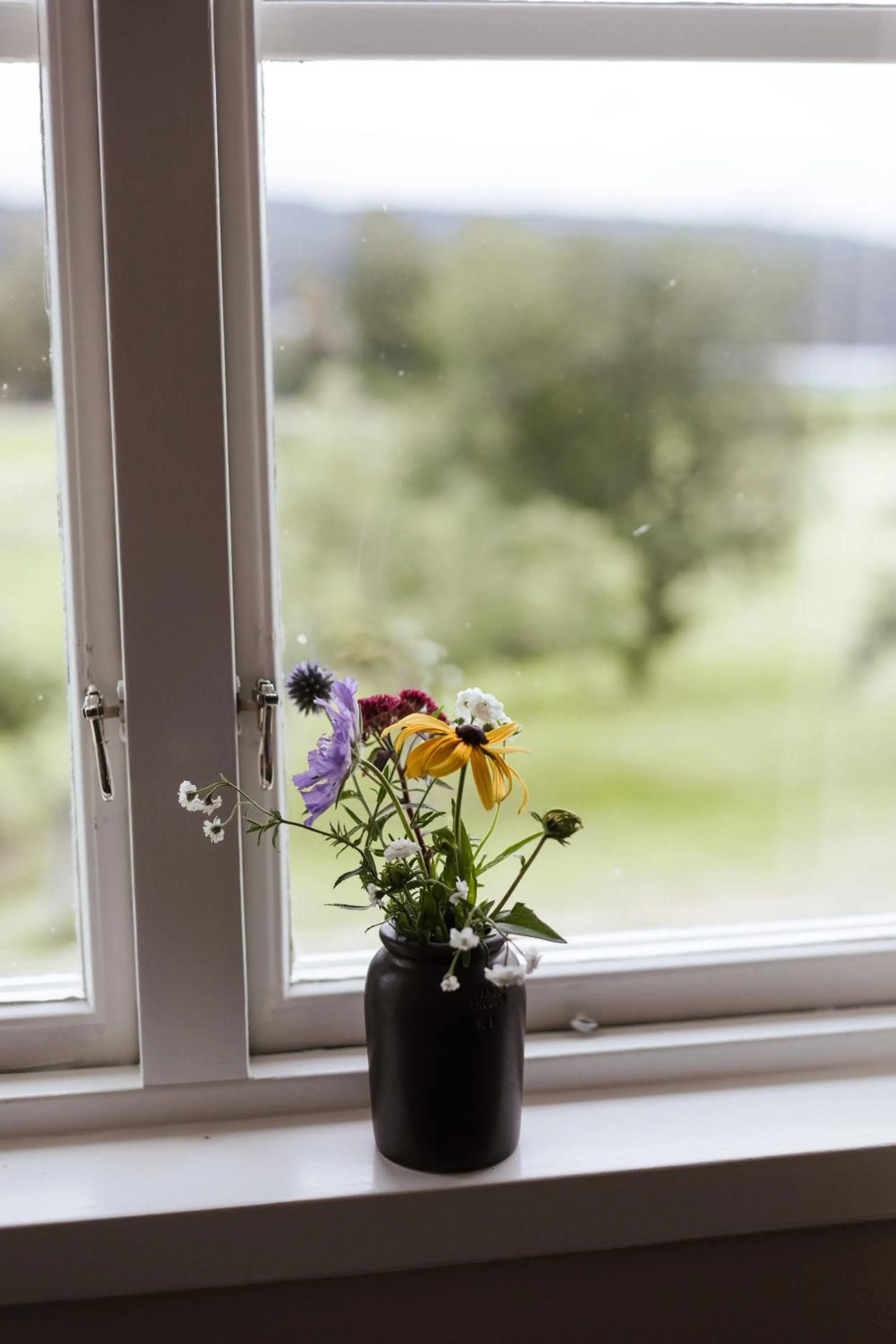 Garden in STF Undersvik Gårdshotell & Vandrarhem