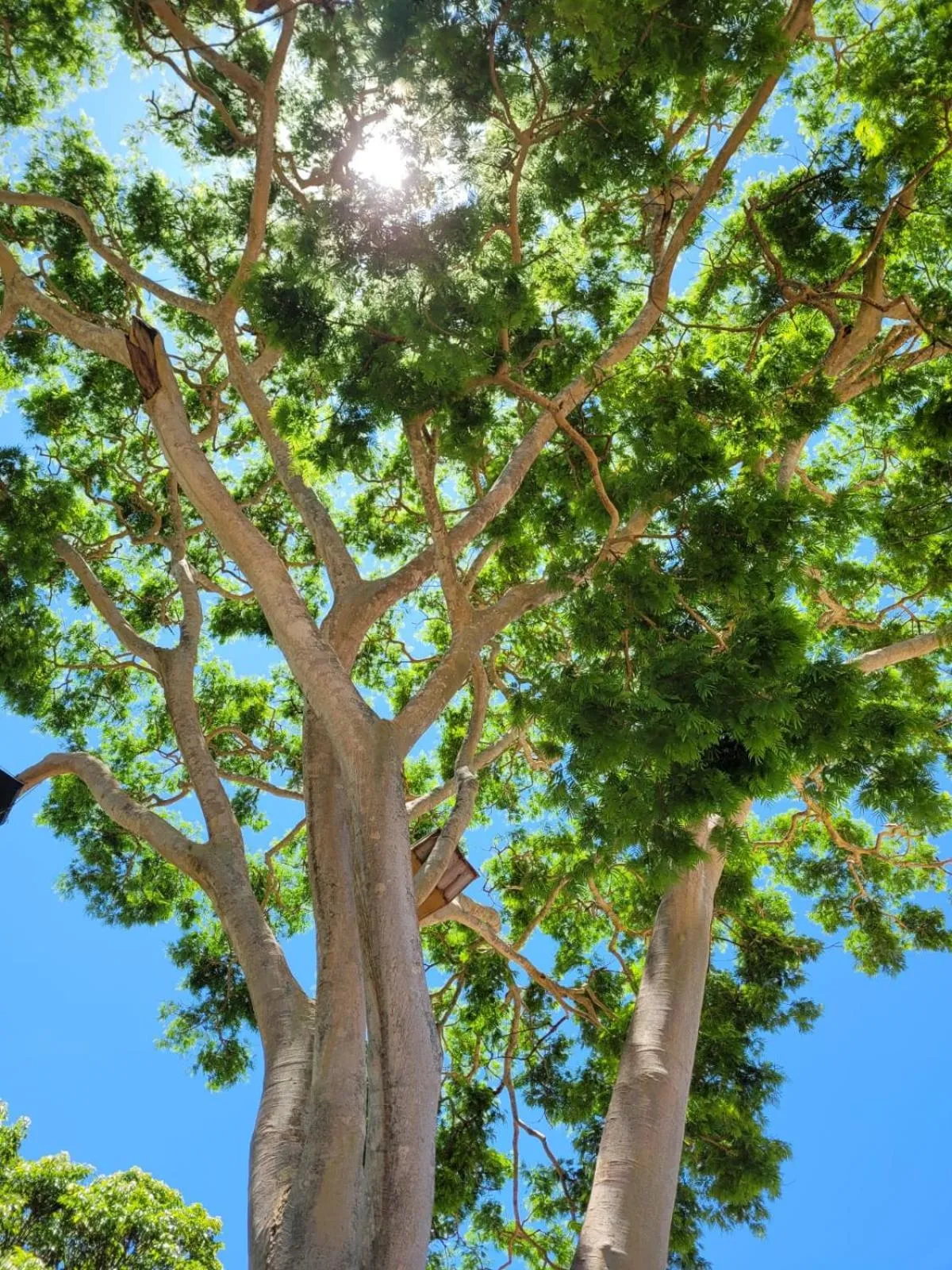 Garden view in Pousada Rancho Bonito