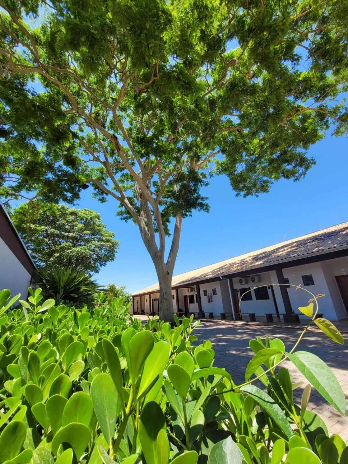 Pousada Rancho Bonito Pousada Rancho Bonito