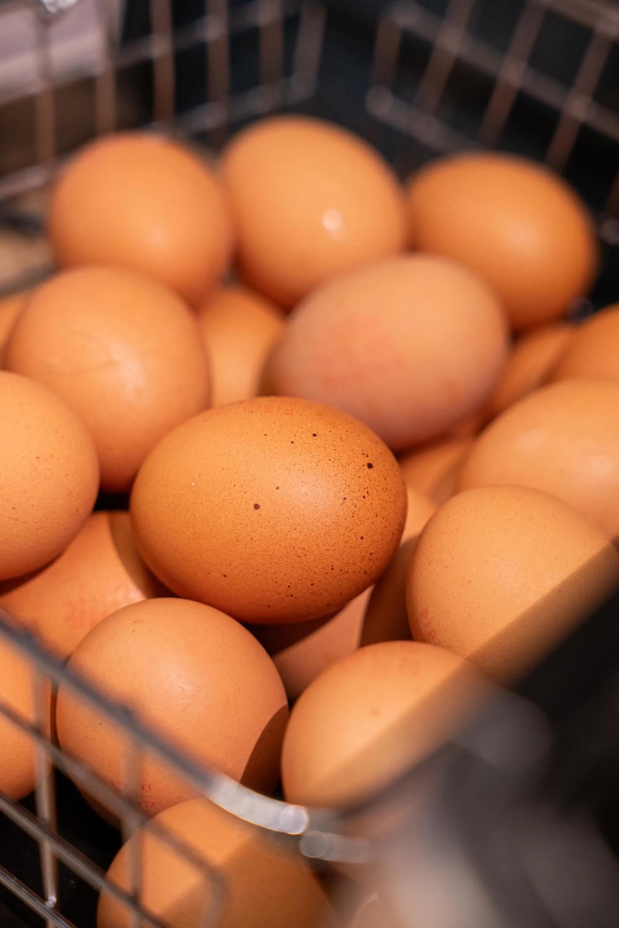 Breakfast in Ibis Bourgoin Jallieu Medipole