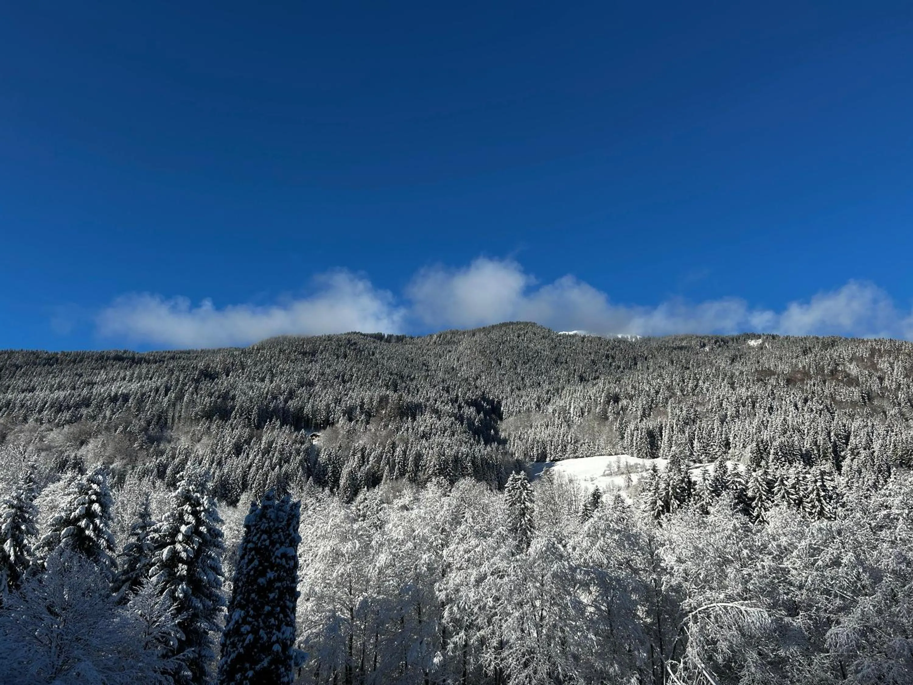 Natural landscape in Hôtel Restaurant Le Madame