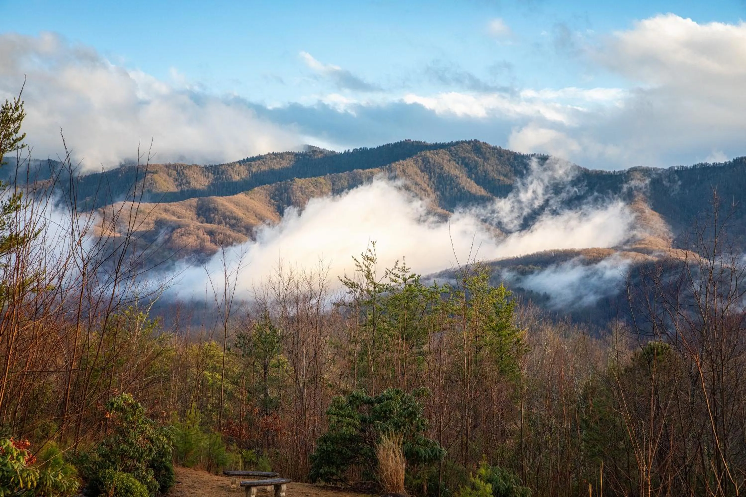 Mountain view in Real Log Cabin With Amazing Views, Hot Tub, Sauna, Games