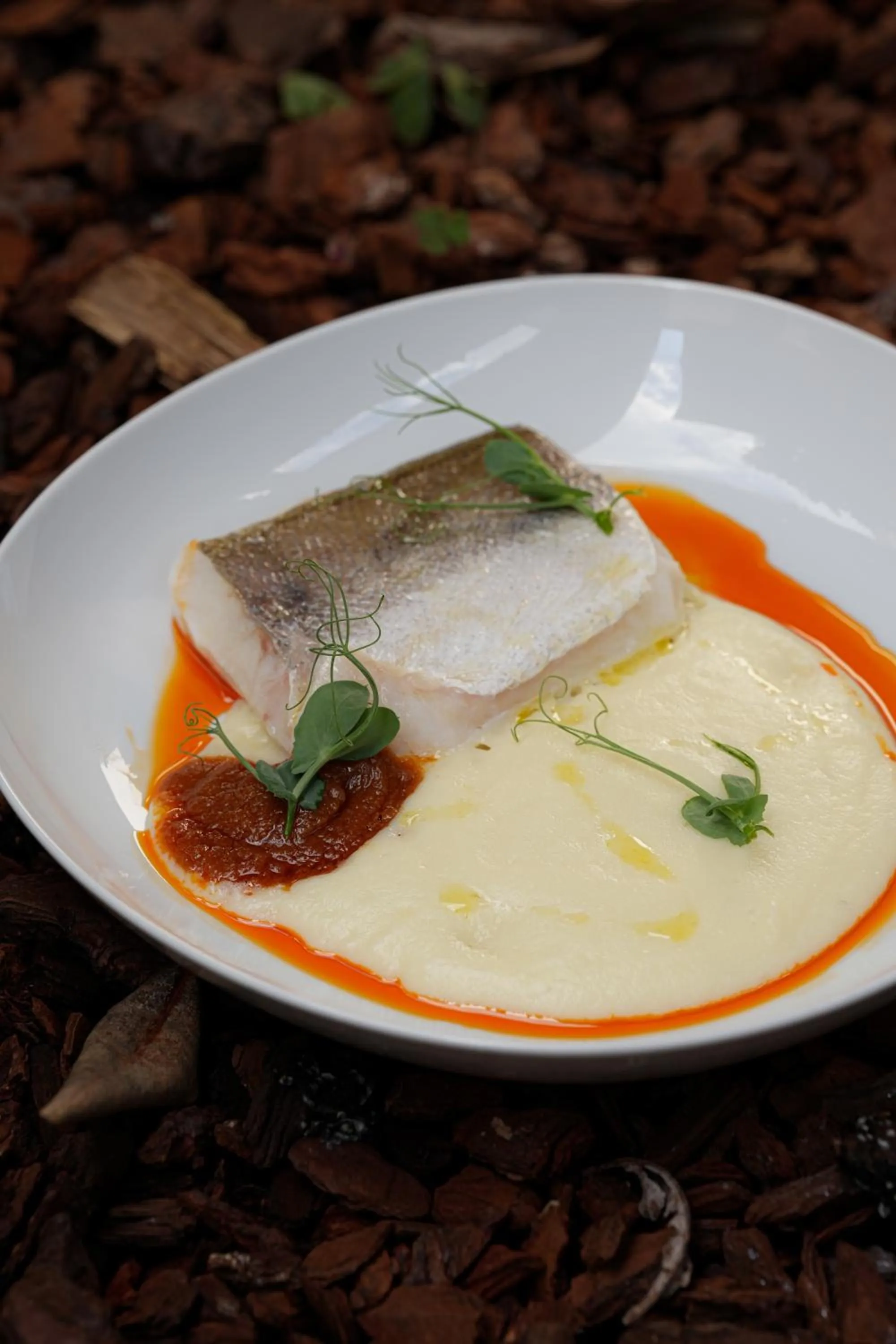 Hotel Rústico Fonteverde