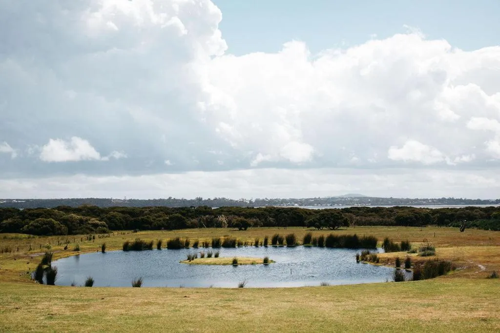 Garden in Majuba Country Lodge