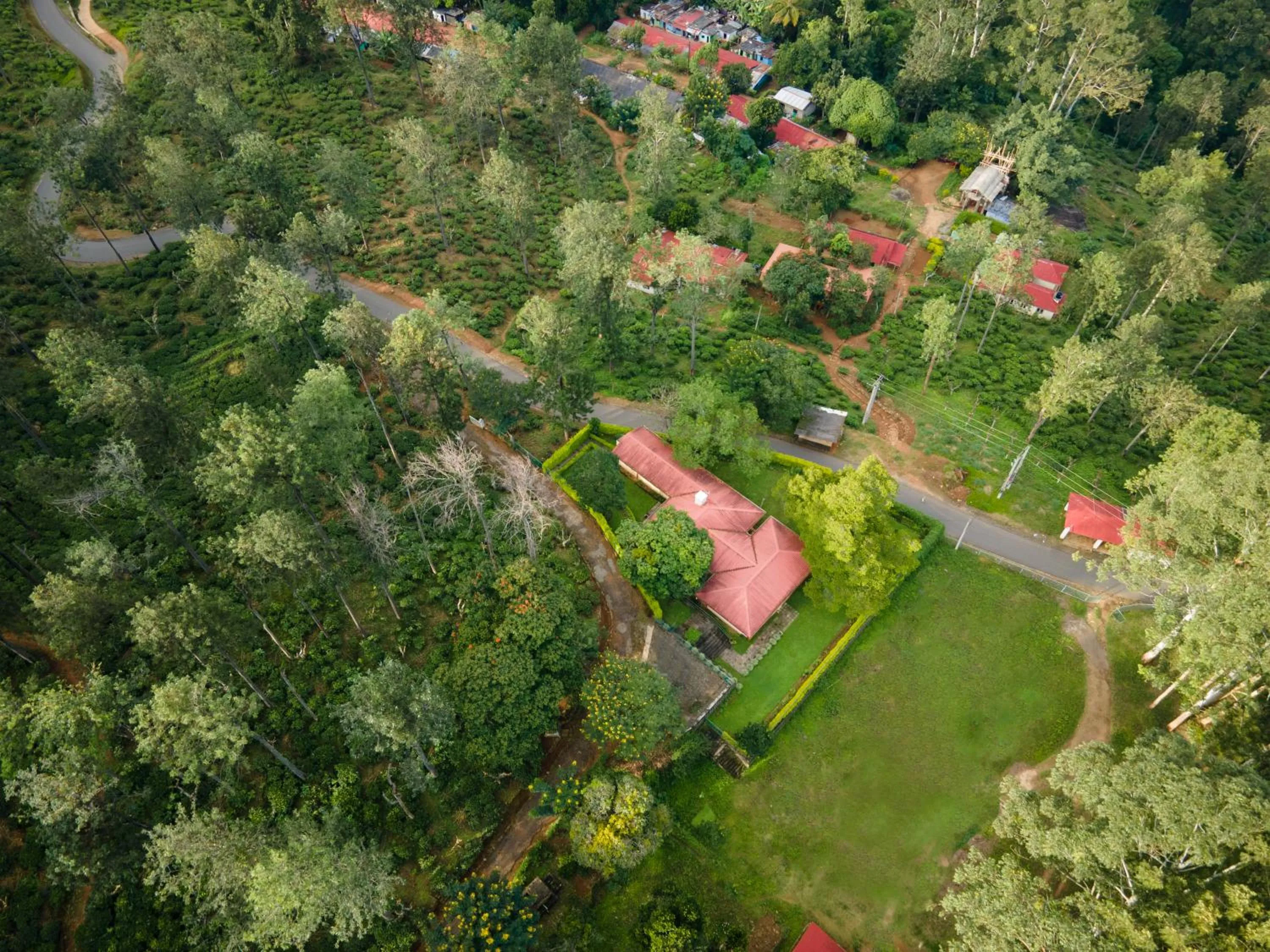 Bird's eye view in Olive Bungalow