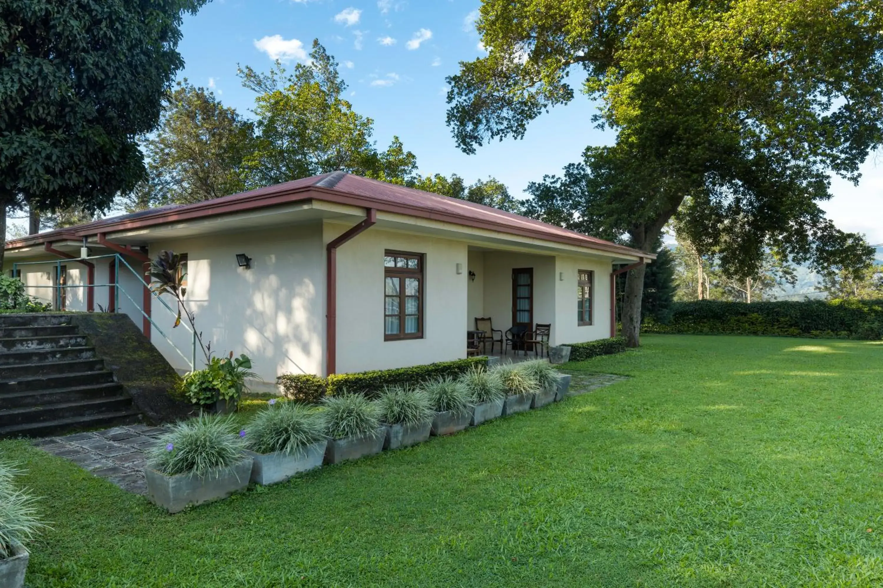 Olive Bungalow Olive Bungalow