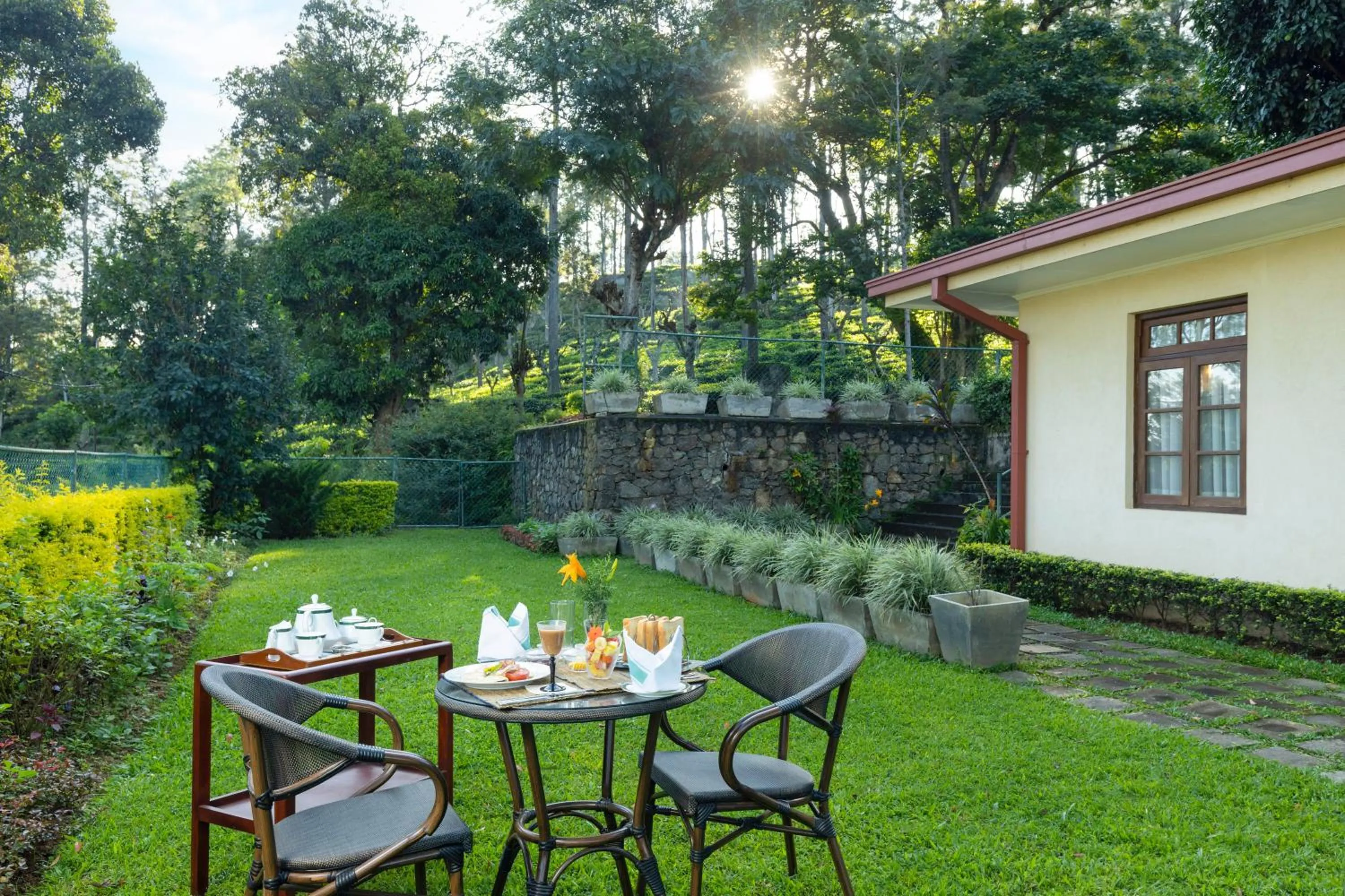 Breakfast in Olive Bungalow