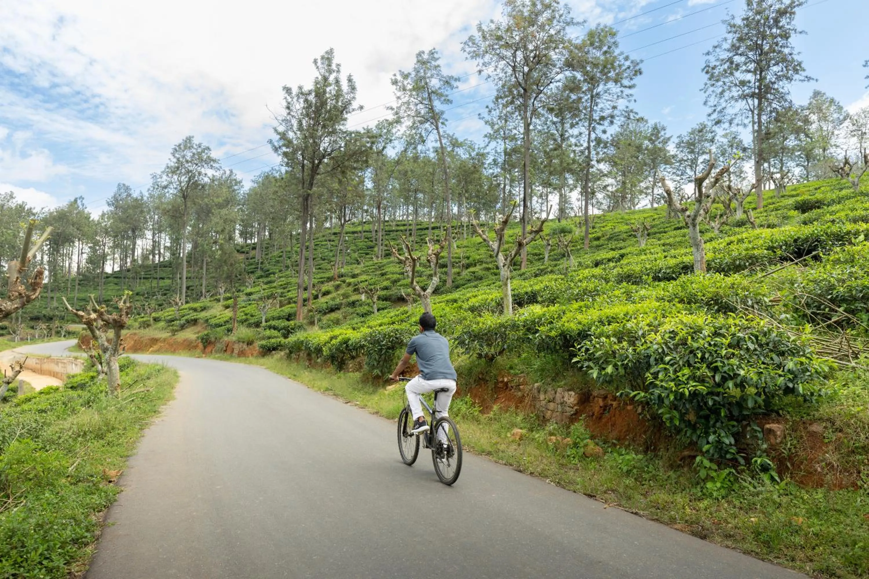 Cycling in Olive Bungalow