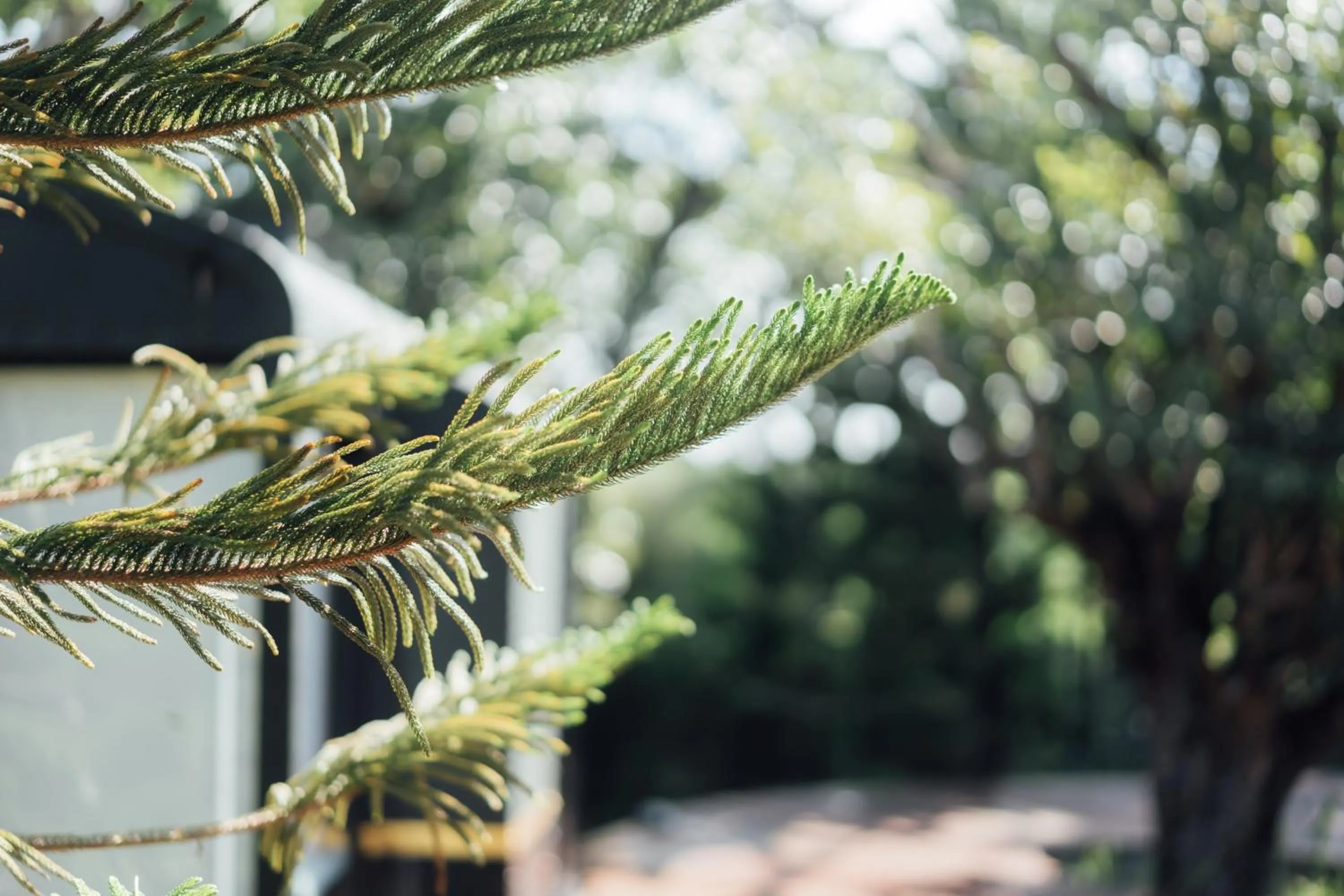 Garden view in LA COCOTTE VILLA & FARM KHAO YAI