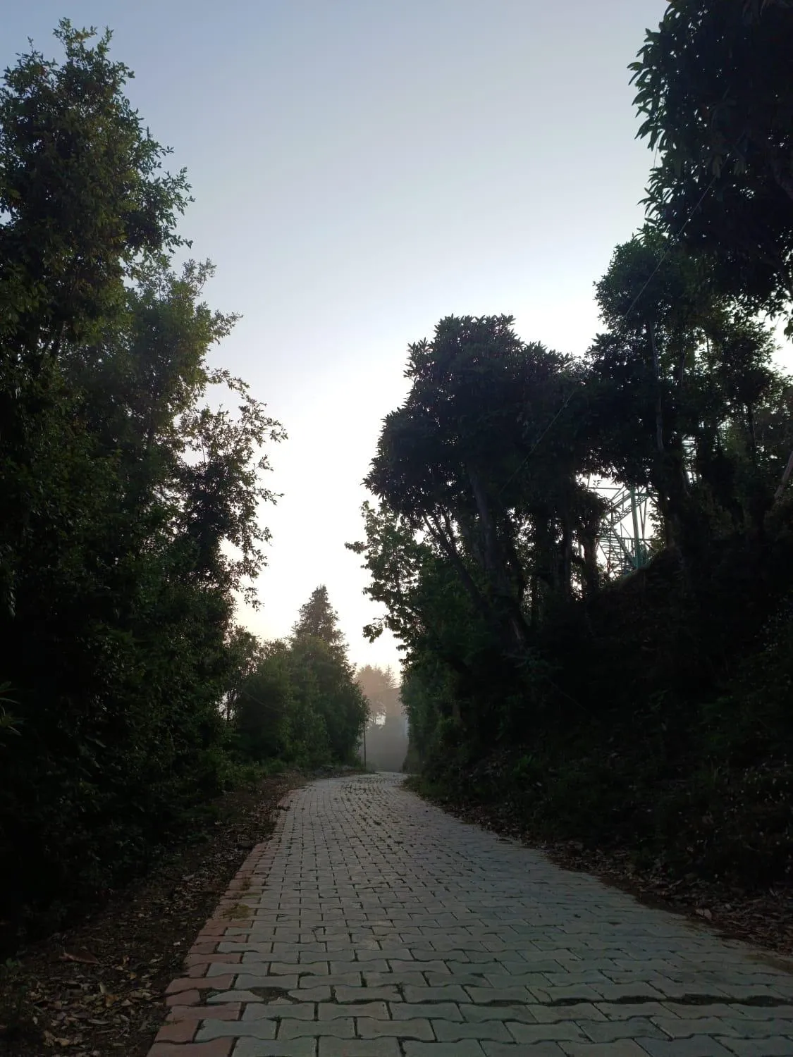 Day in PinnacleHouse kanatal Uttarakhand