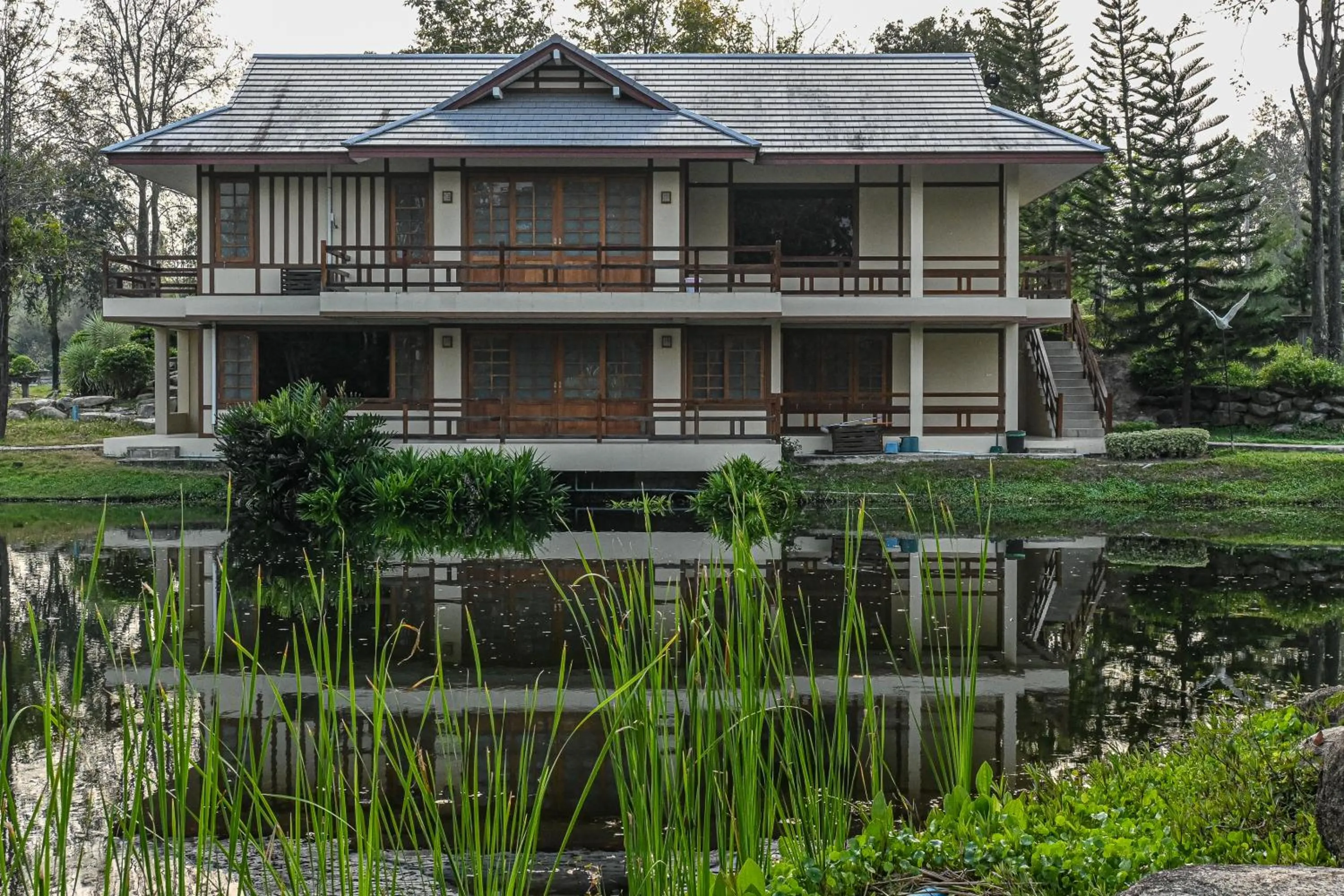 Property building in Suanphung Bonsai Village