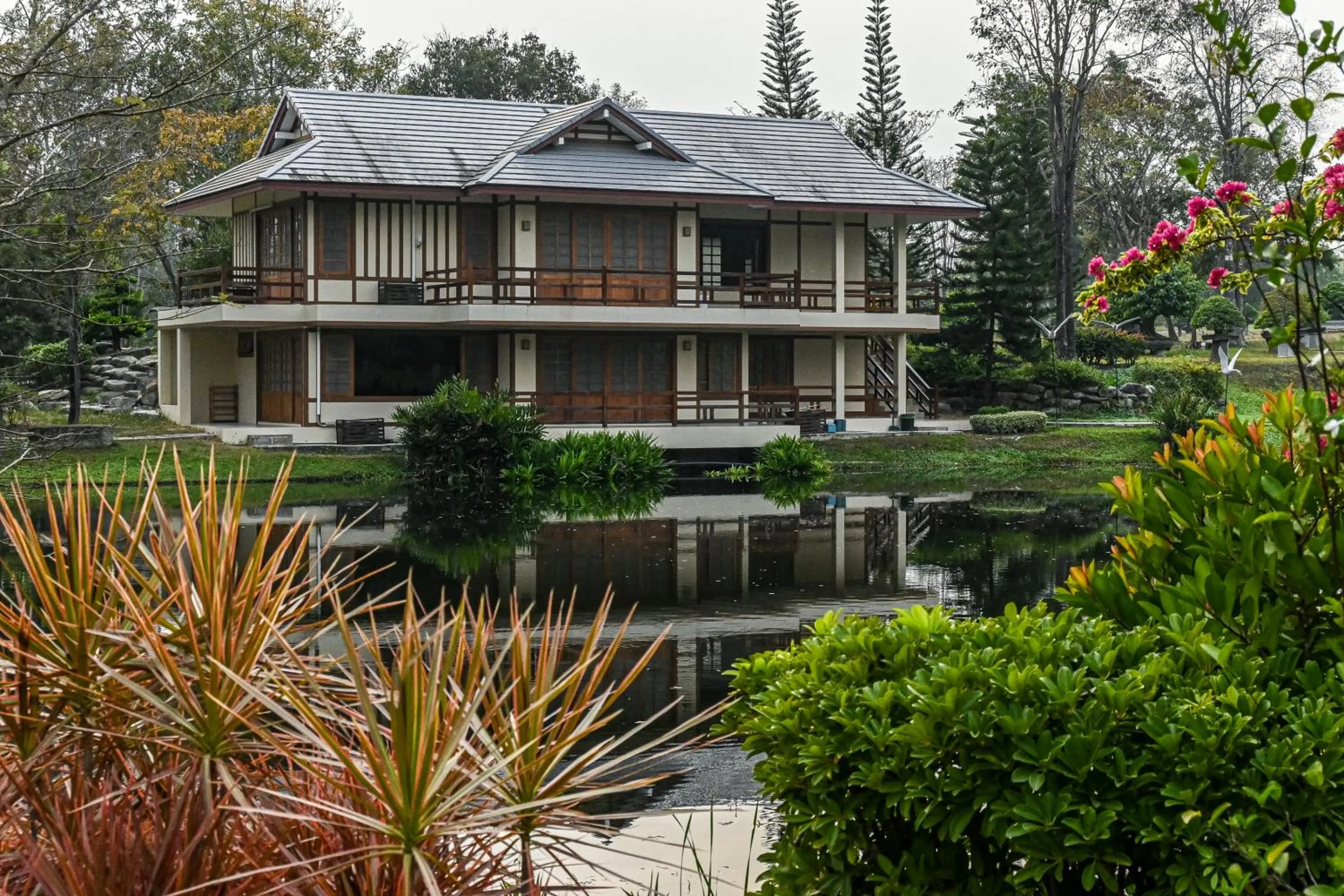 Property building in Suanphung Bonsai Village