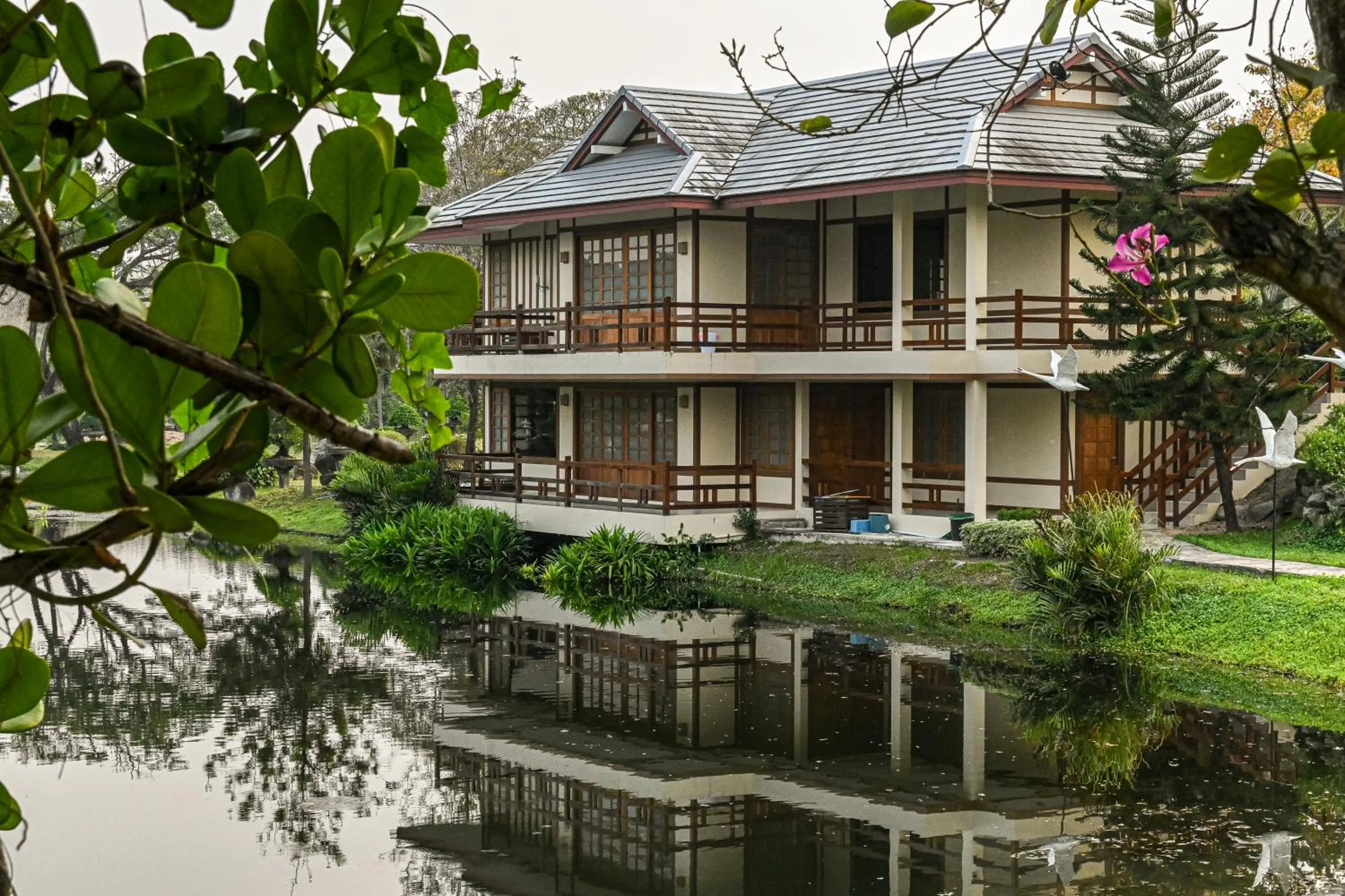 Property building in Suanphung Bonsai Village