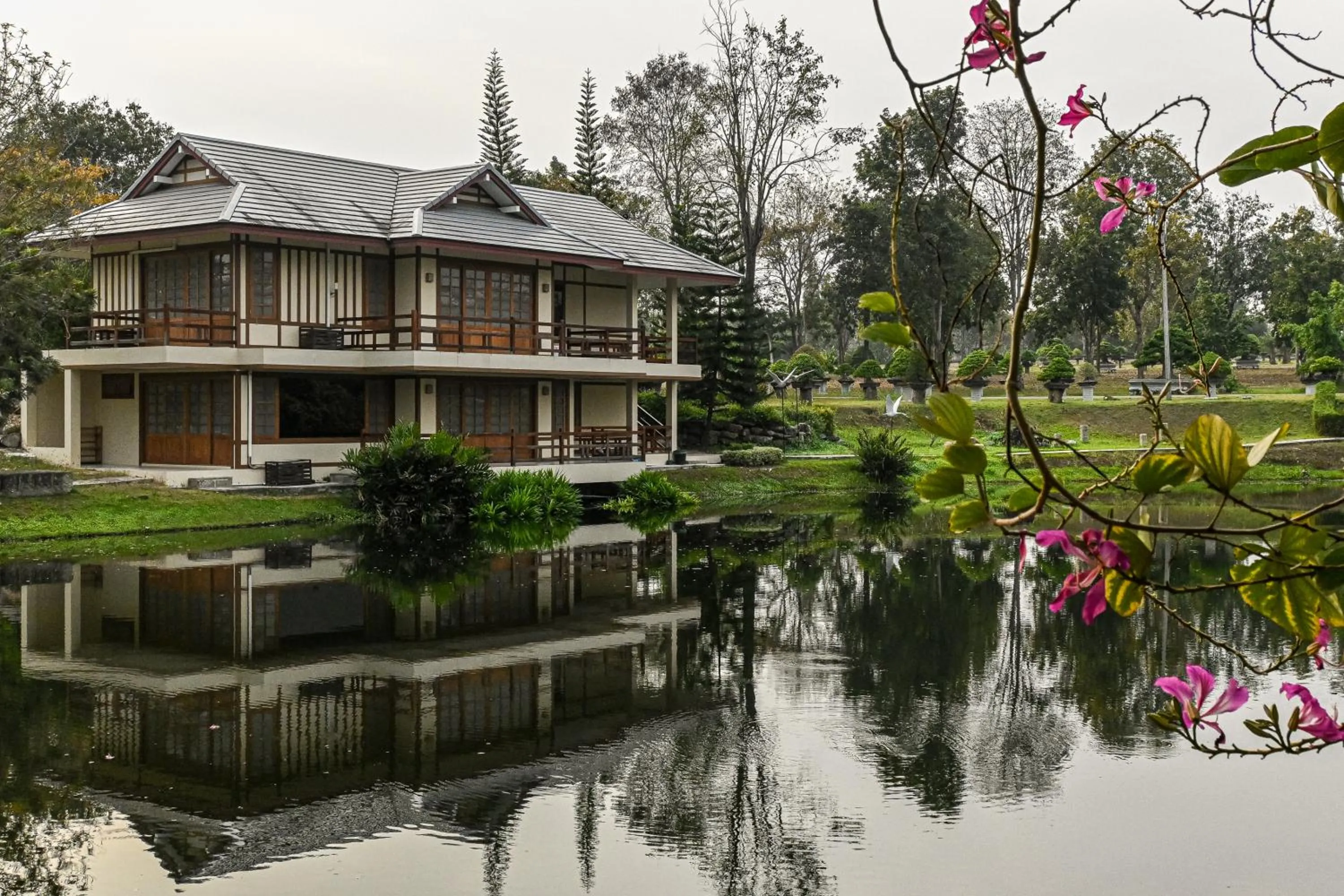Property building in Suanphung Bonsai Village