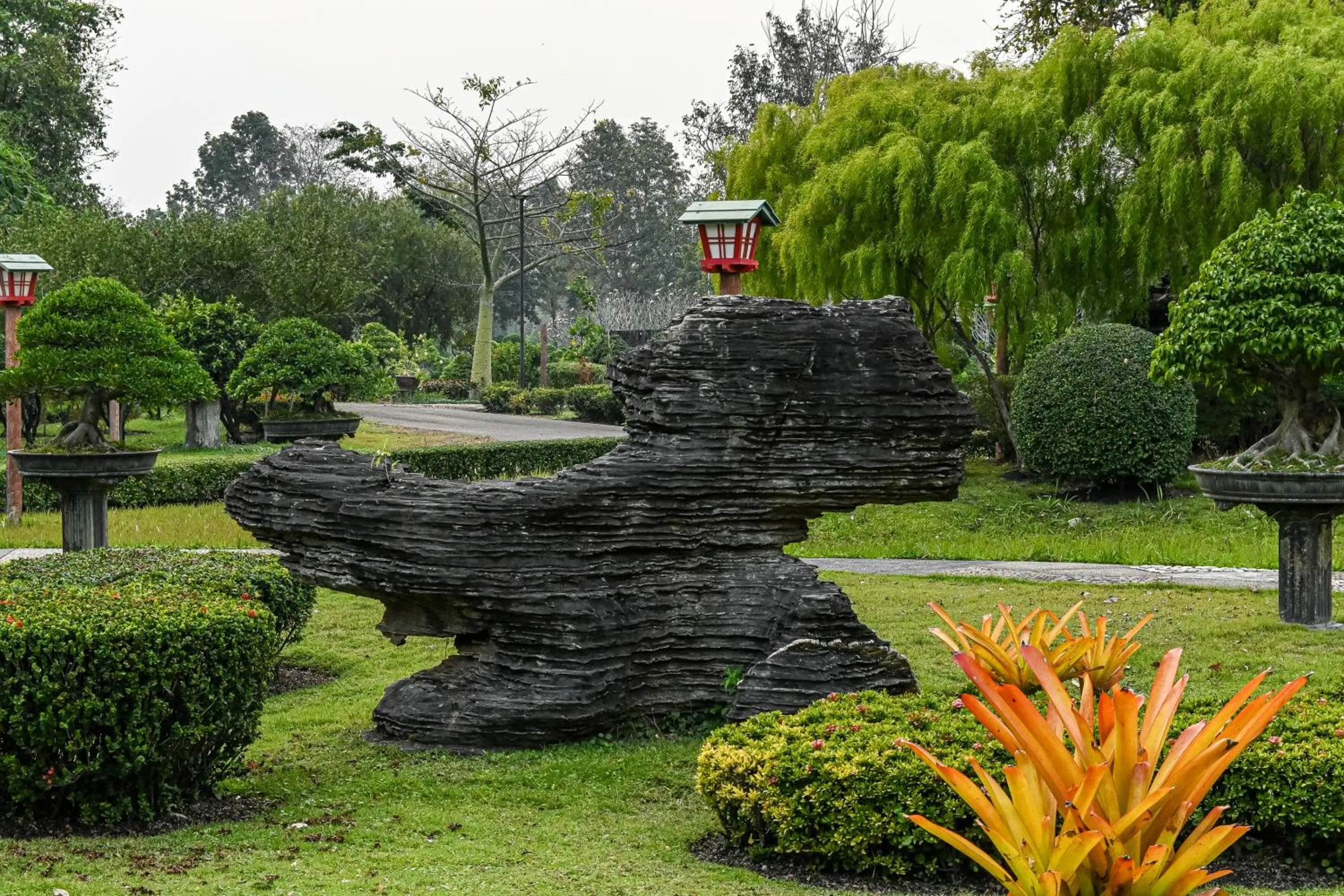 Day in Suanphung Bonsai Village