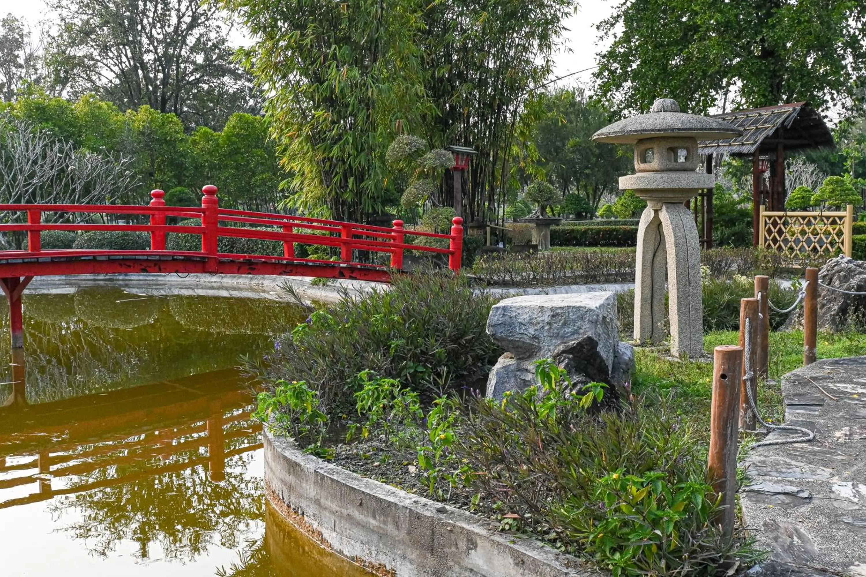Property building in Suanphung Bonsai Village