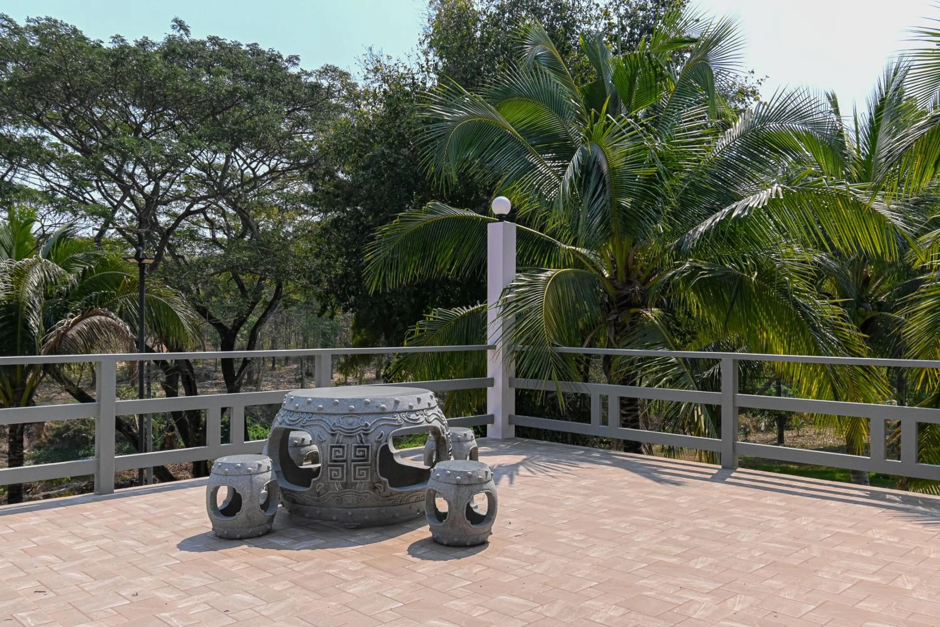 Day in Suanphung Bonsai Village