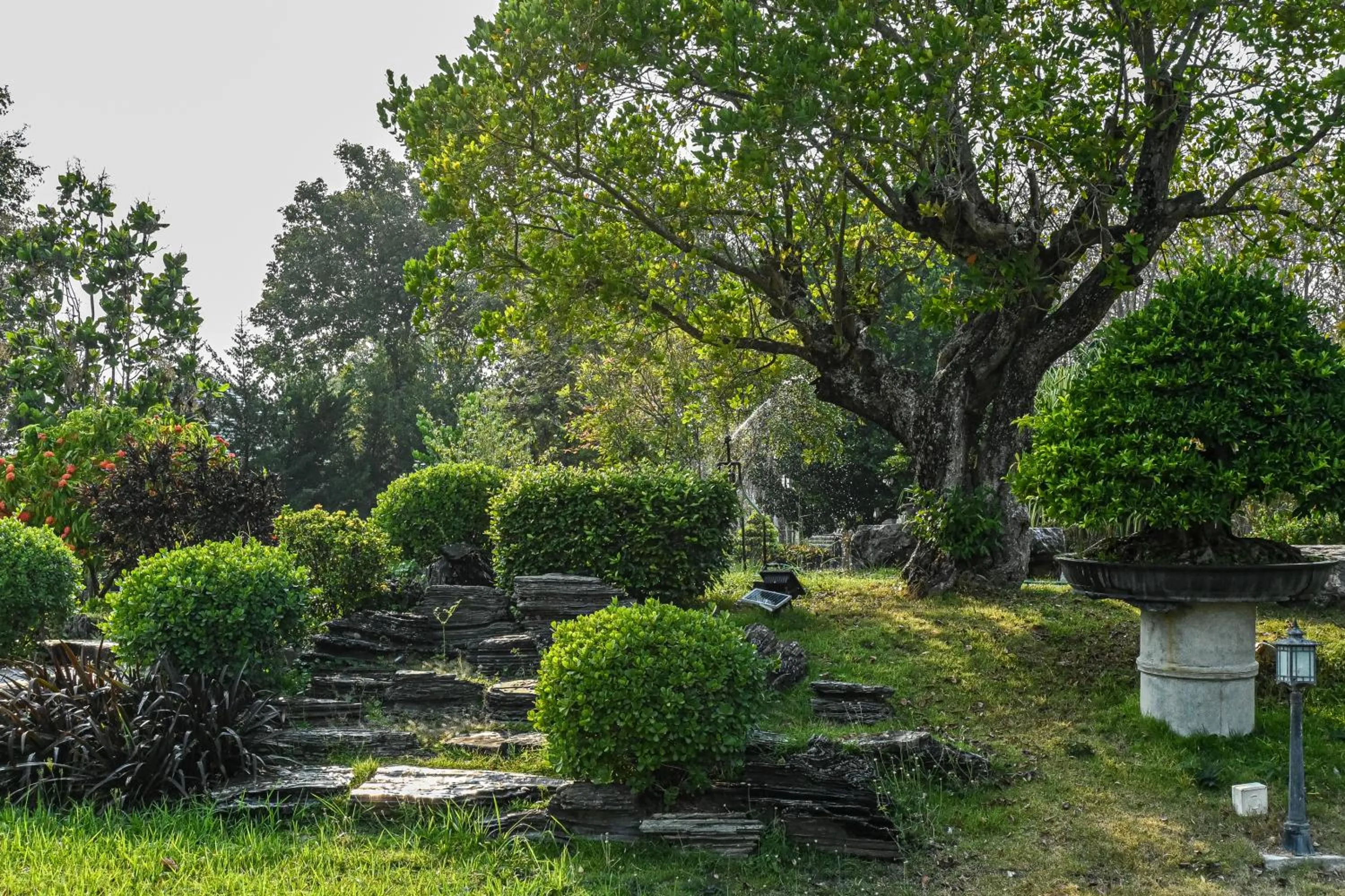 Garden in Suanphung Bonsai Village