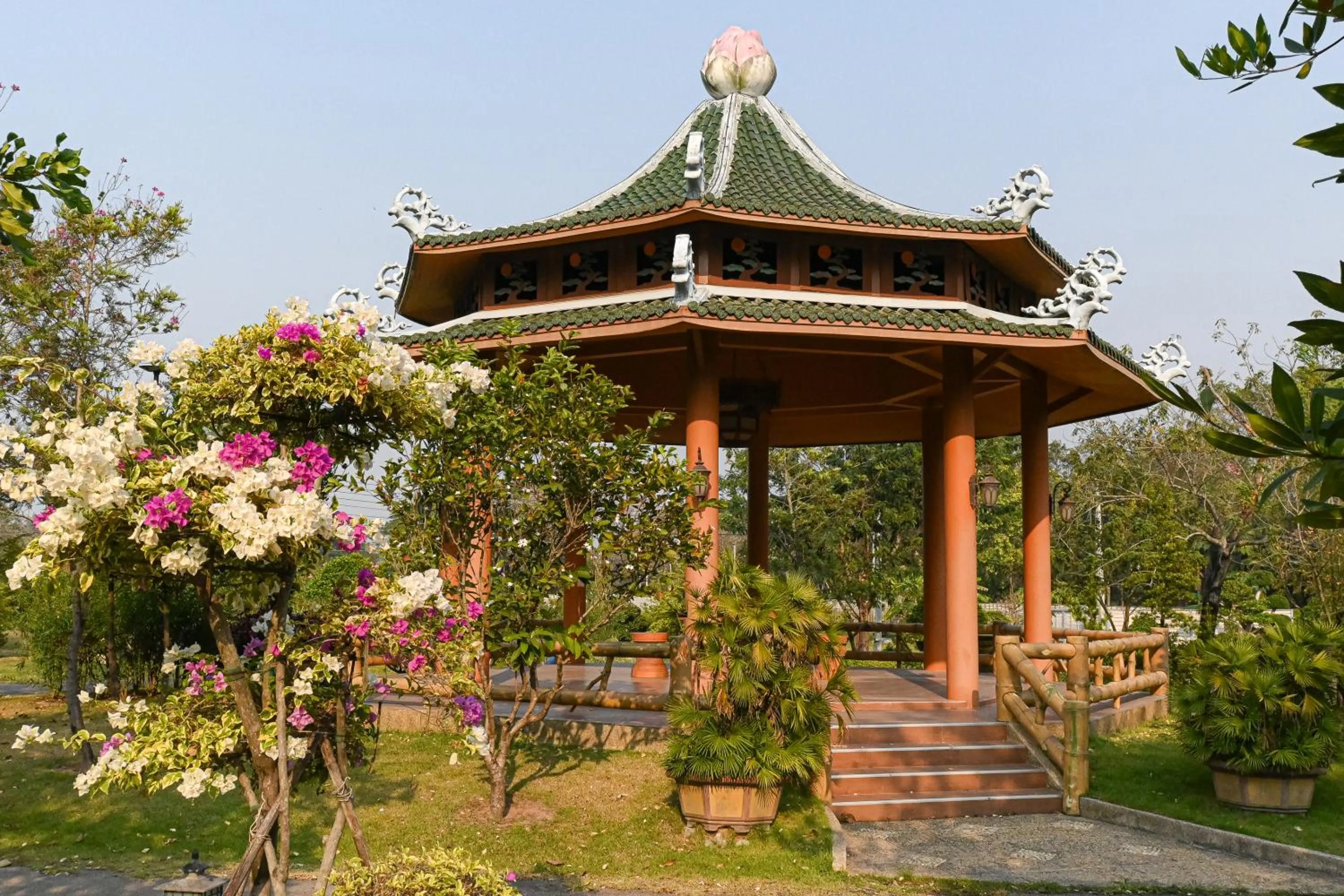 Day in Suanphung Bonsai Village